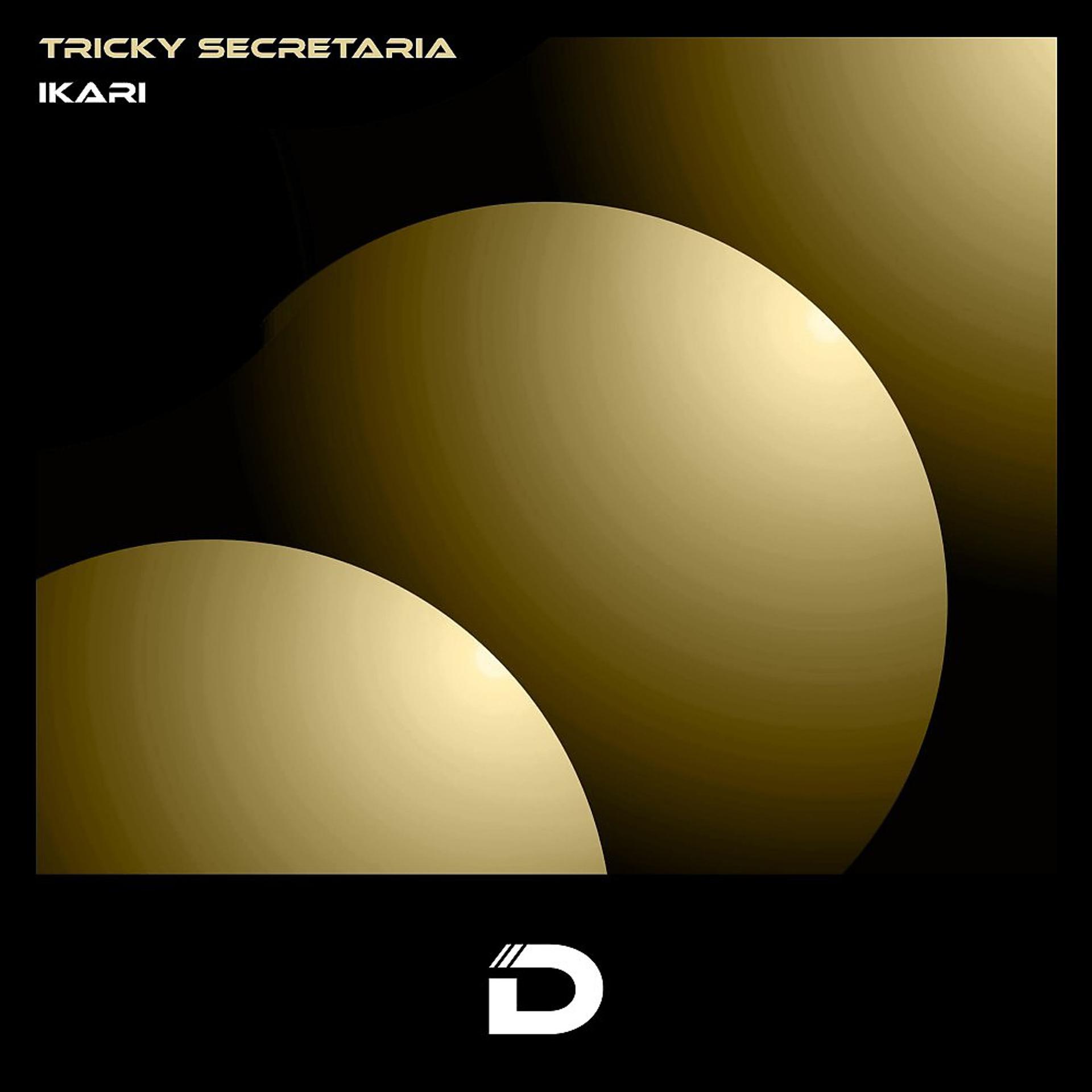 Постер альбома Tricky Secretaria