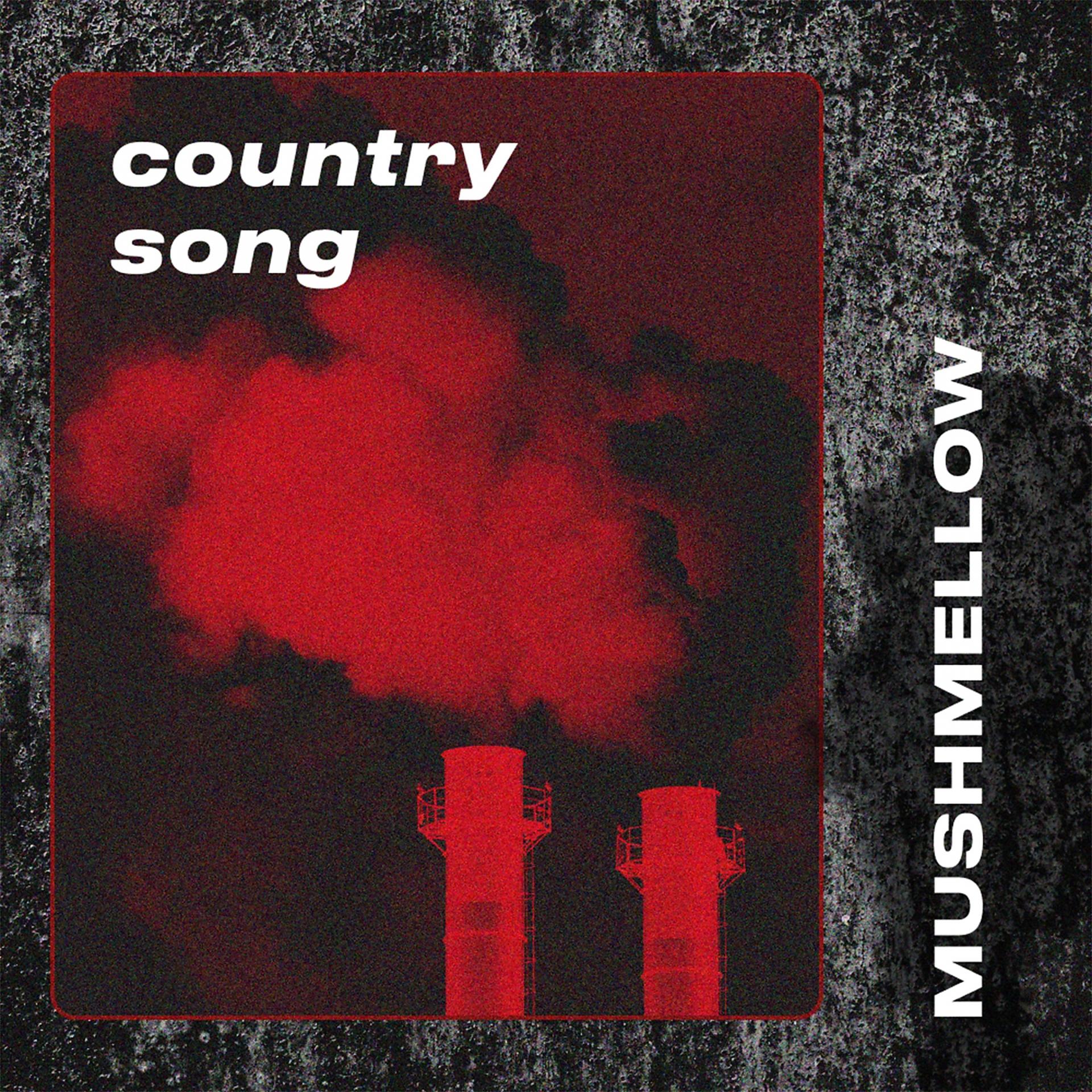 Постер альбома Country Song