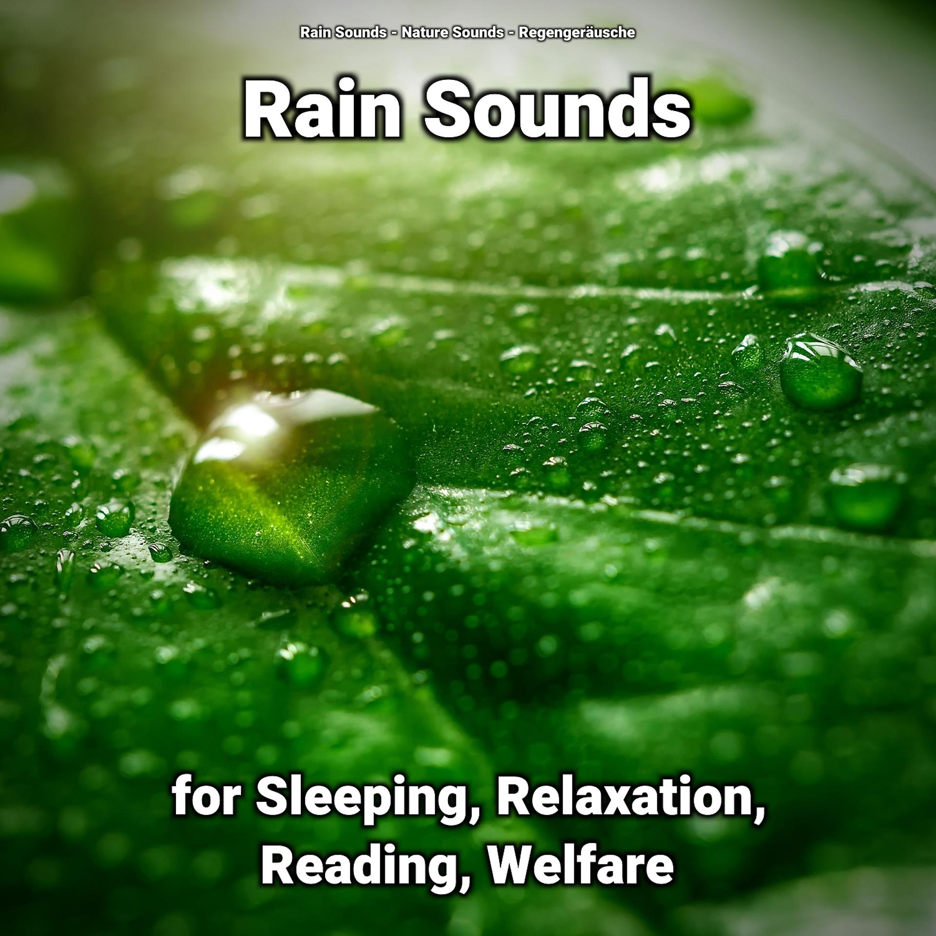 Постер альбома Rain Sounds for Sleeping, Relaxation, Reading, Welfare
