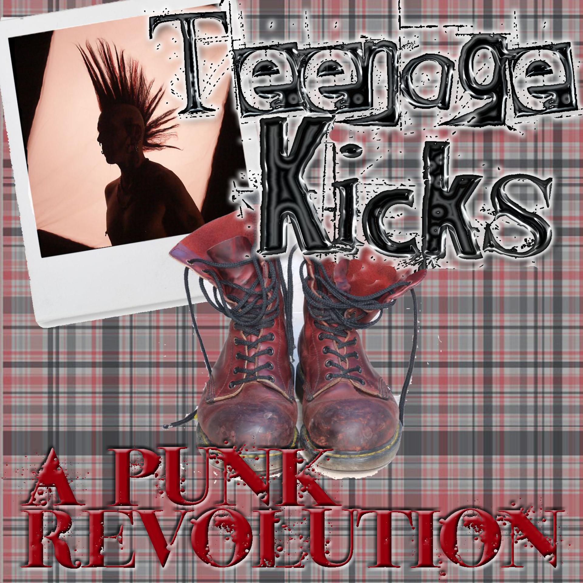 Постер альбома Teenage Kicks: A Punk Revolution