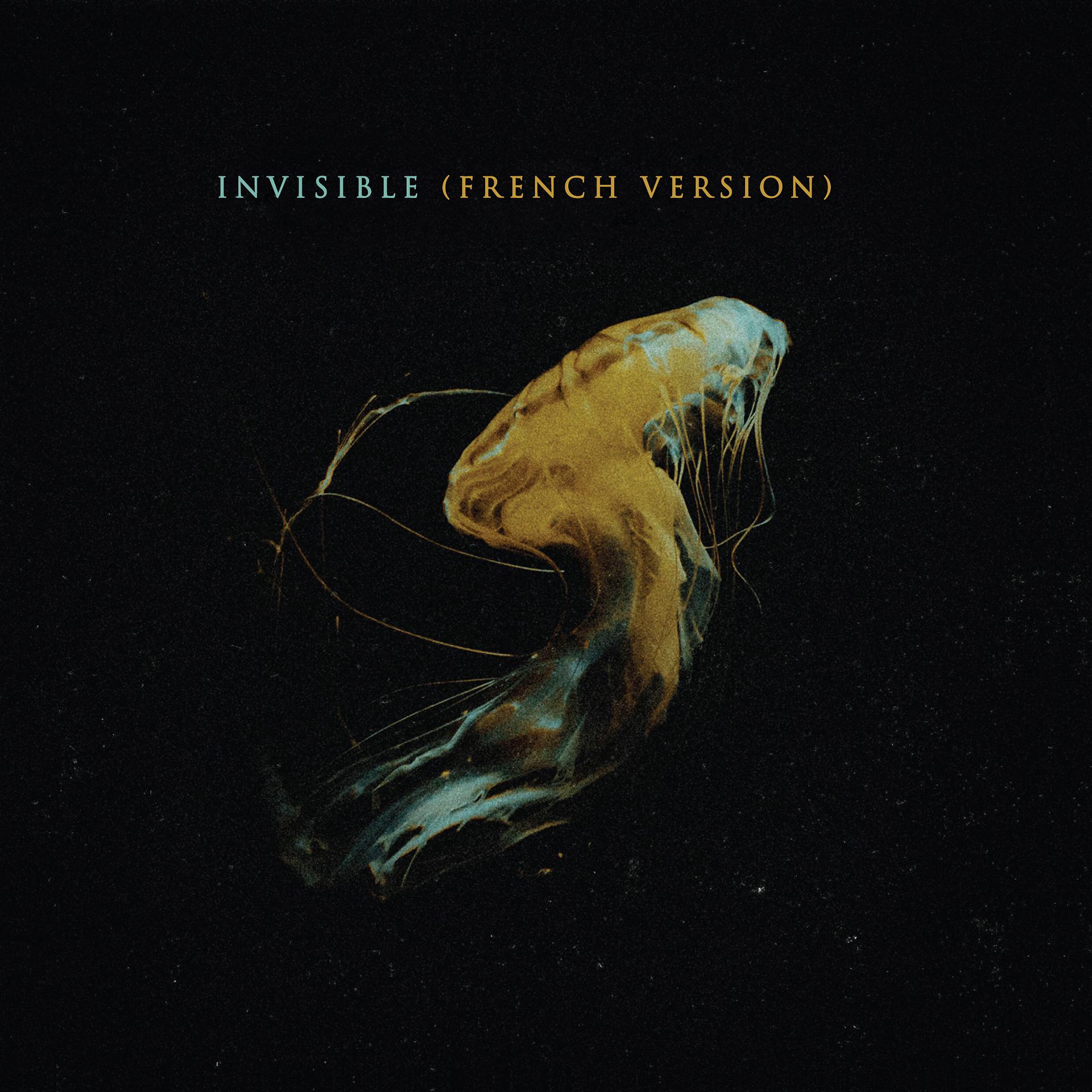 Постер альбома Invisible (French Version)