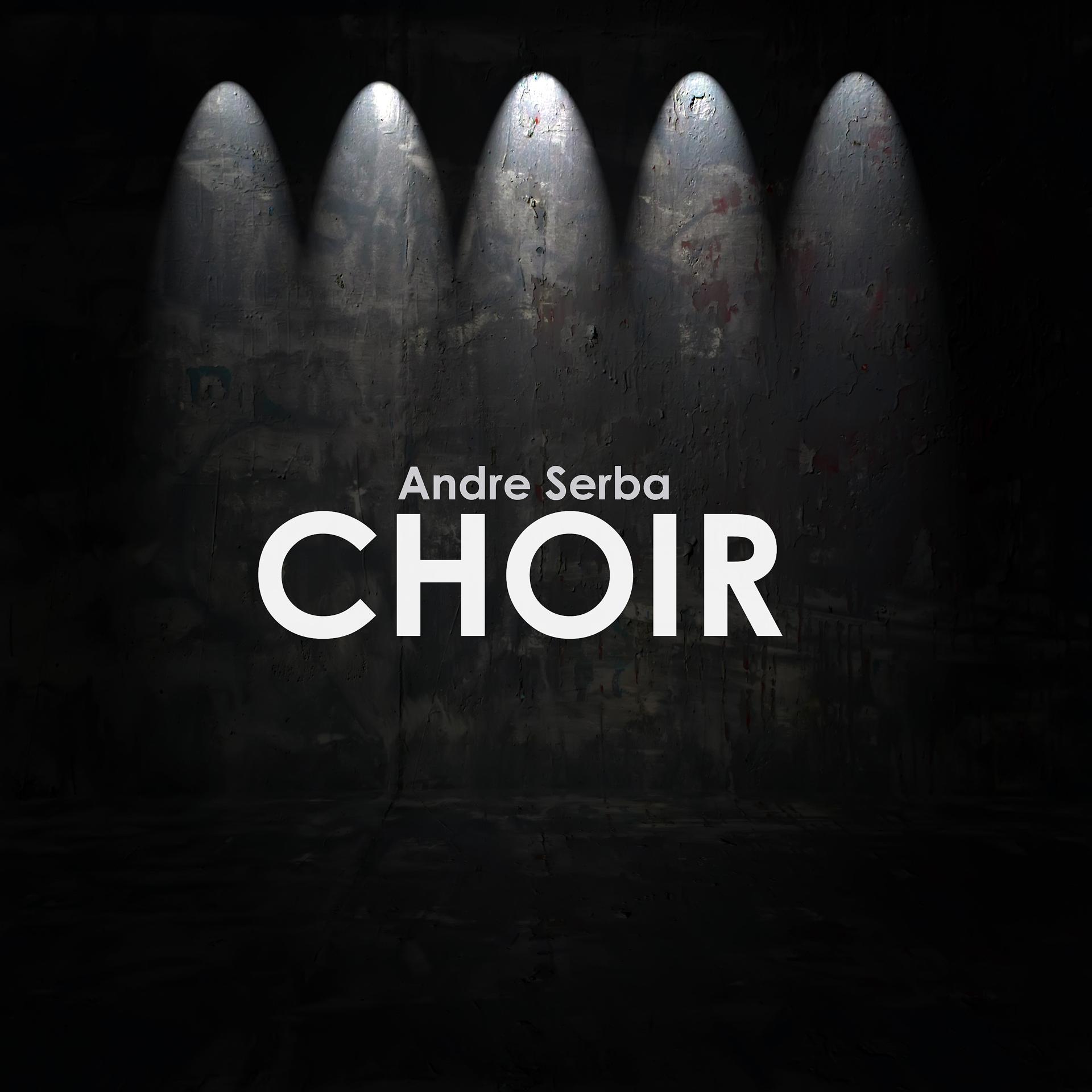 Постер альбома Choir