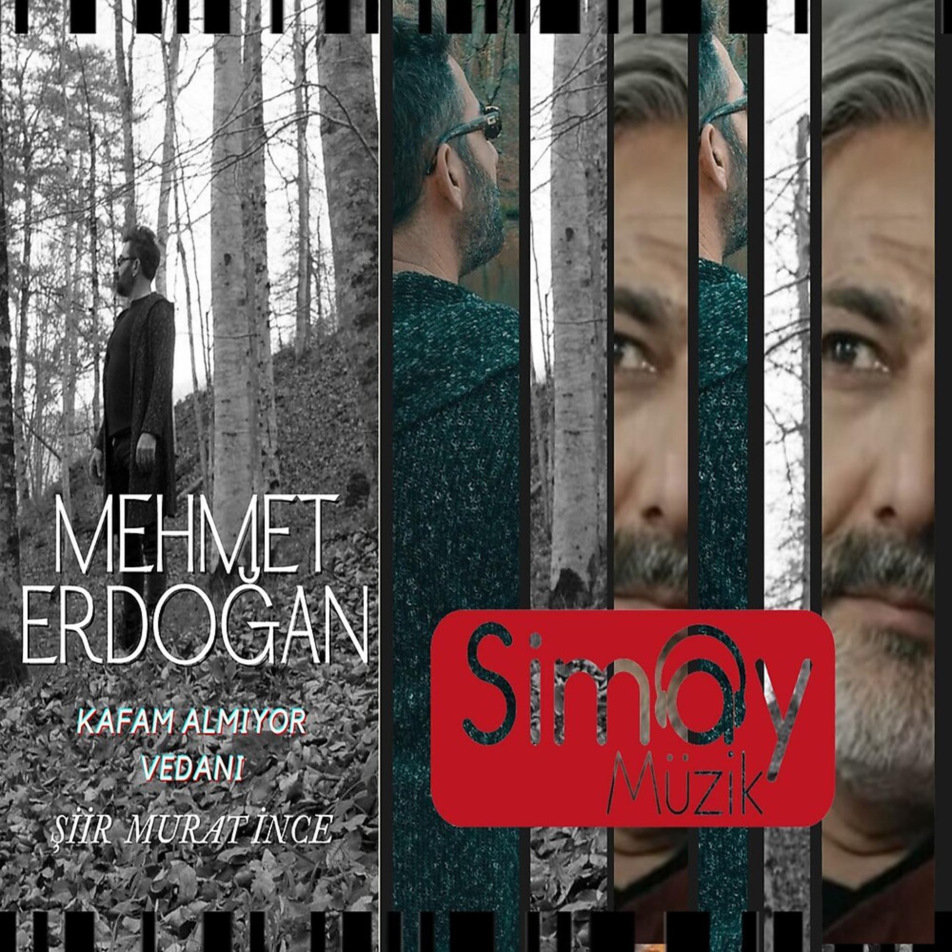 Постер альбома Kafam Almıyor Vedanı