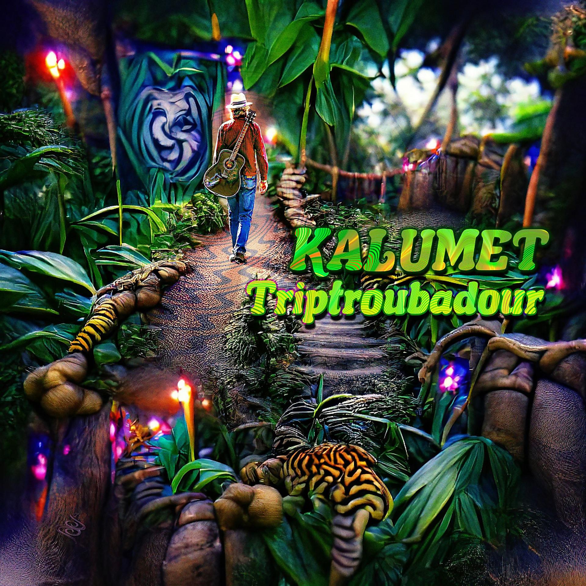 Постер альбома Triptroubadour