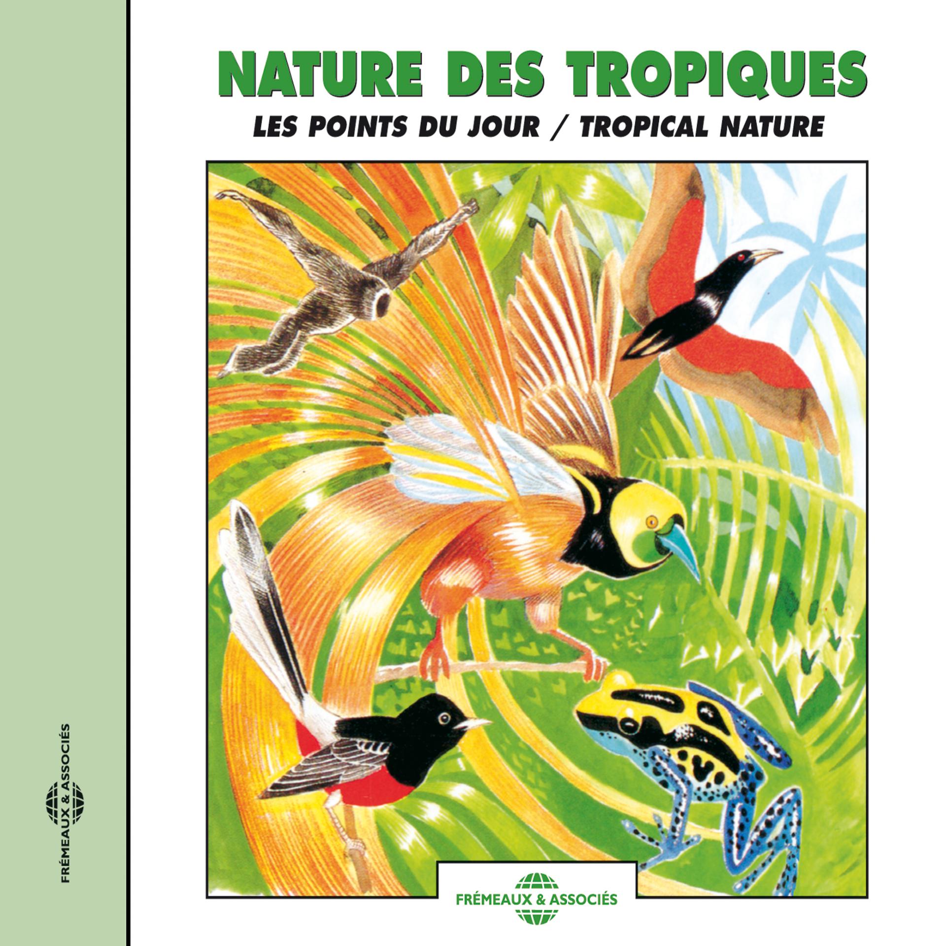 Постер альбома Tropical Nature