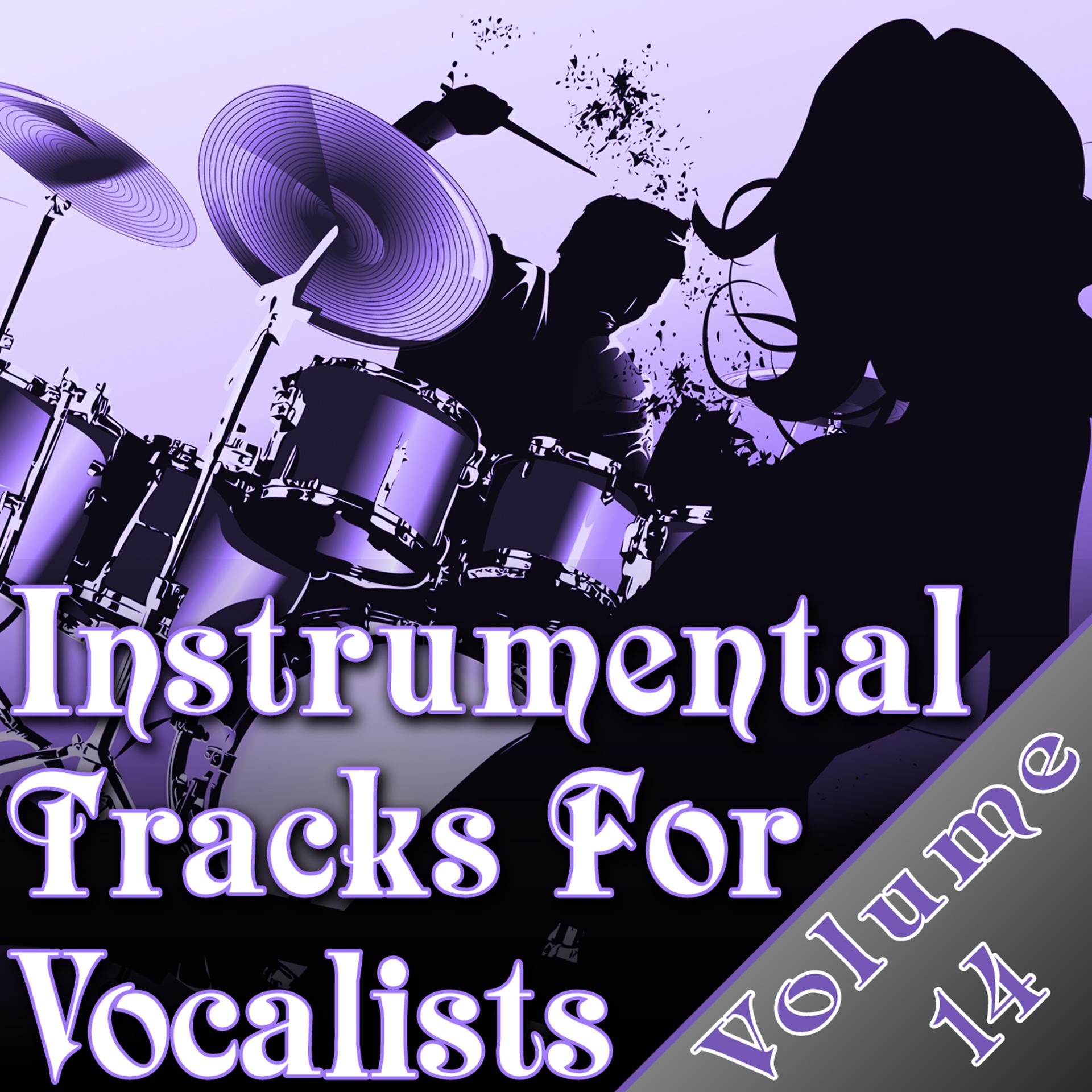 Постер альбома Instrumental Tracks For Vocalists Vol. 14 - Instrumental Backing Tracks For Singers Minus Vocals