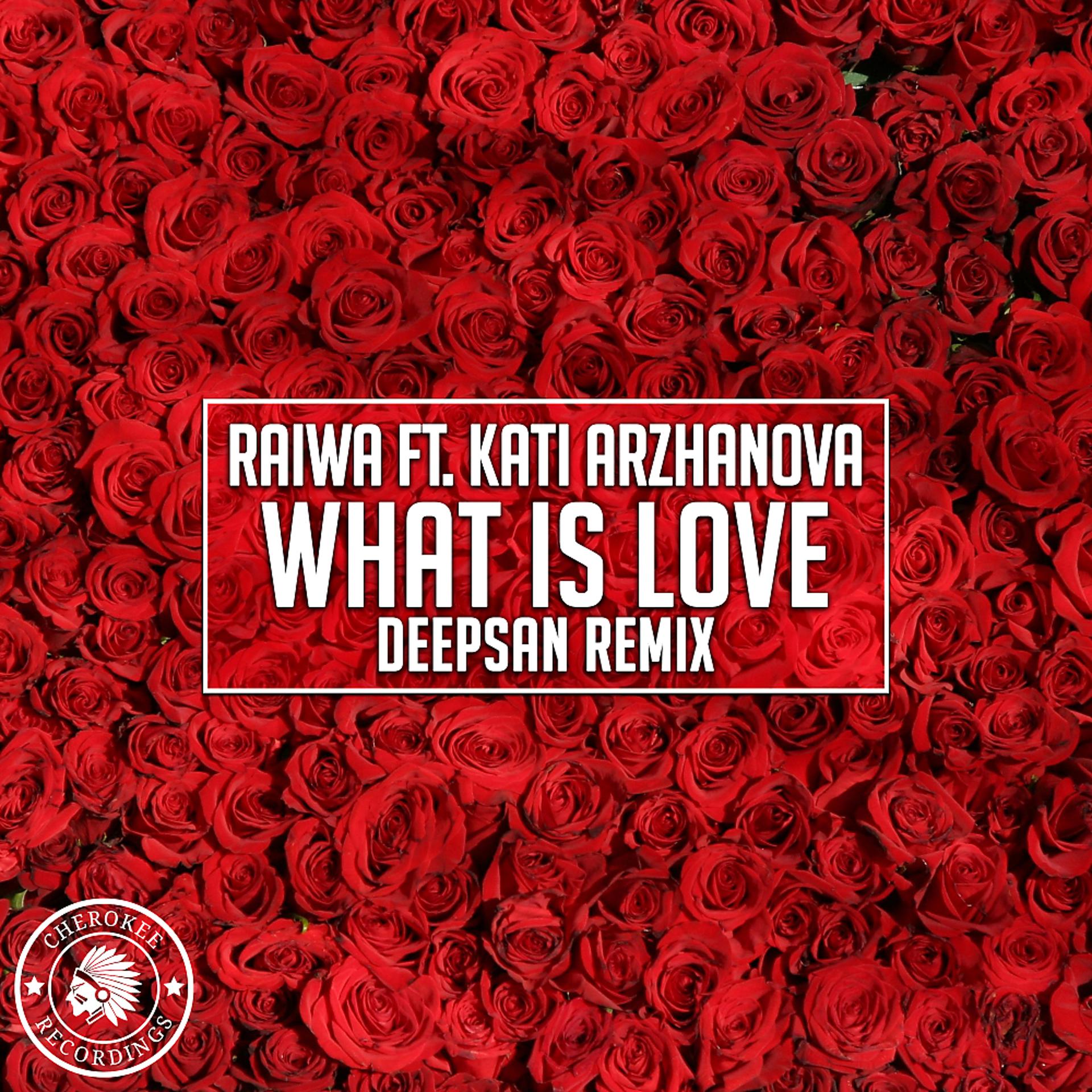 Постер альбома What Is Love (Deepsan Remix)