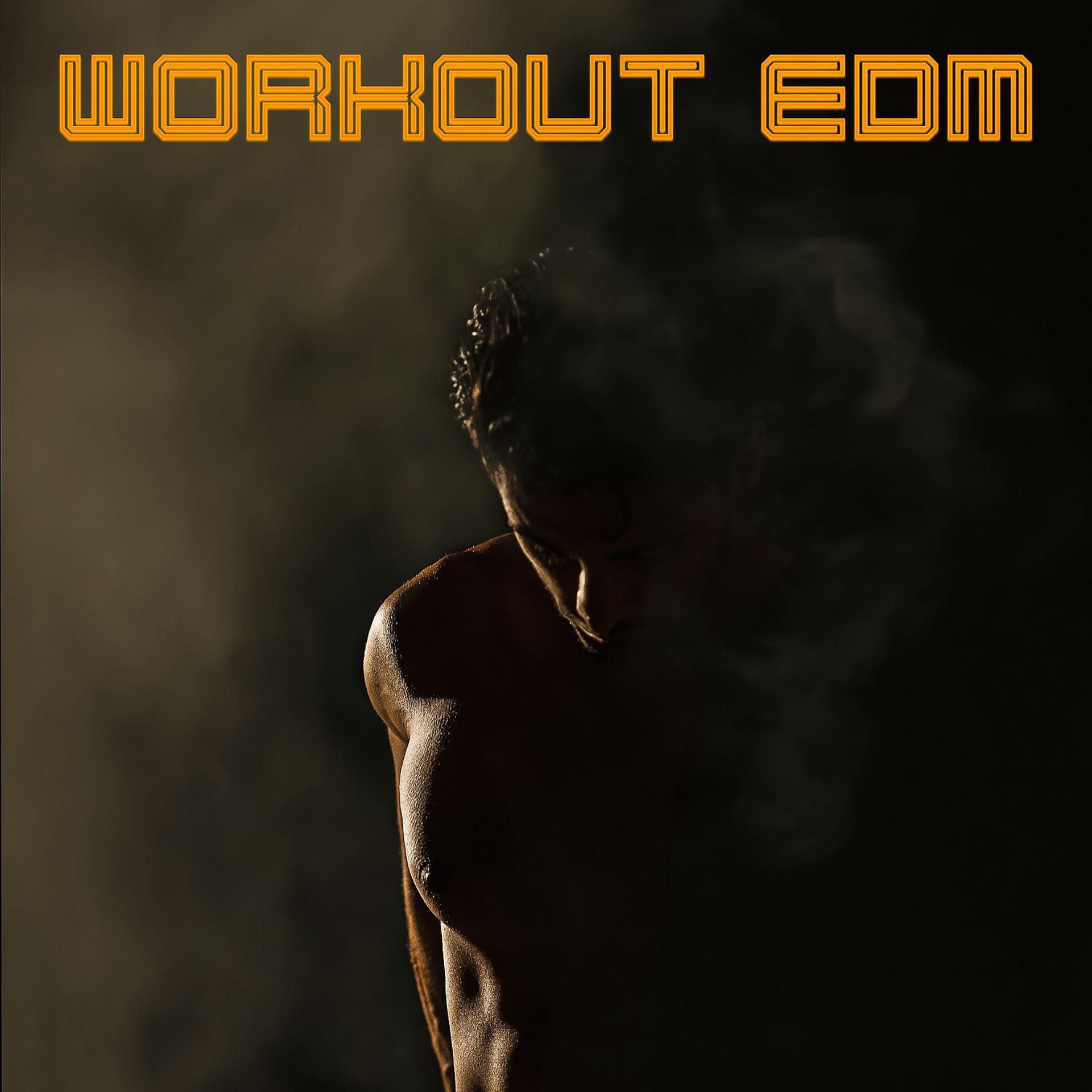Постер альбома Workout EDM