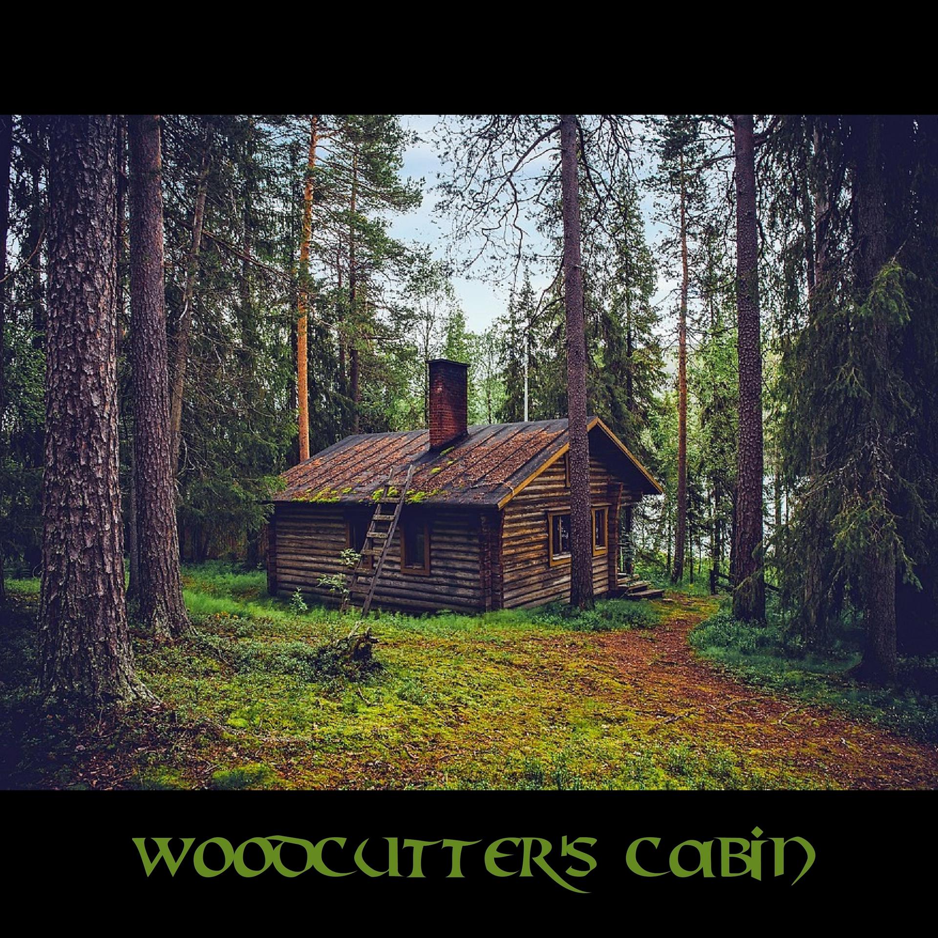 Постер альбома Woodcutter's Cabin