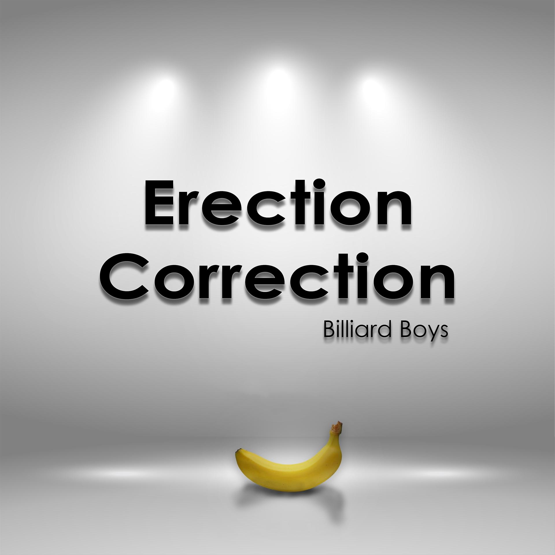 Постер альбома Erection Correction