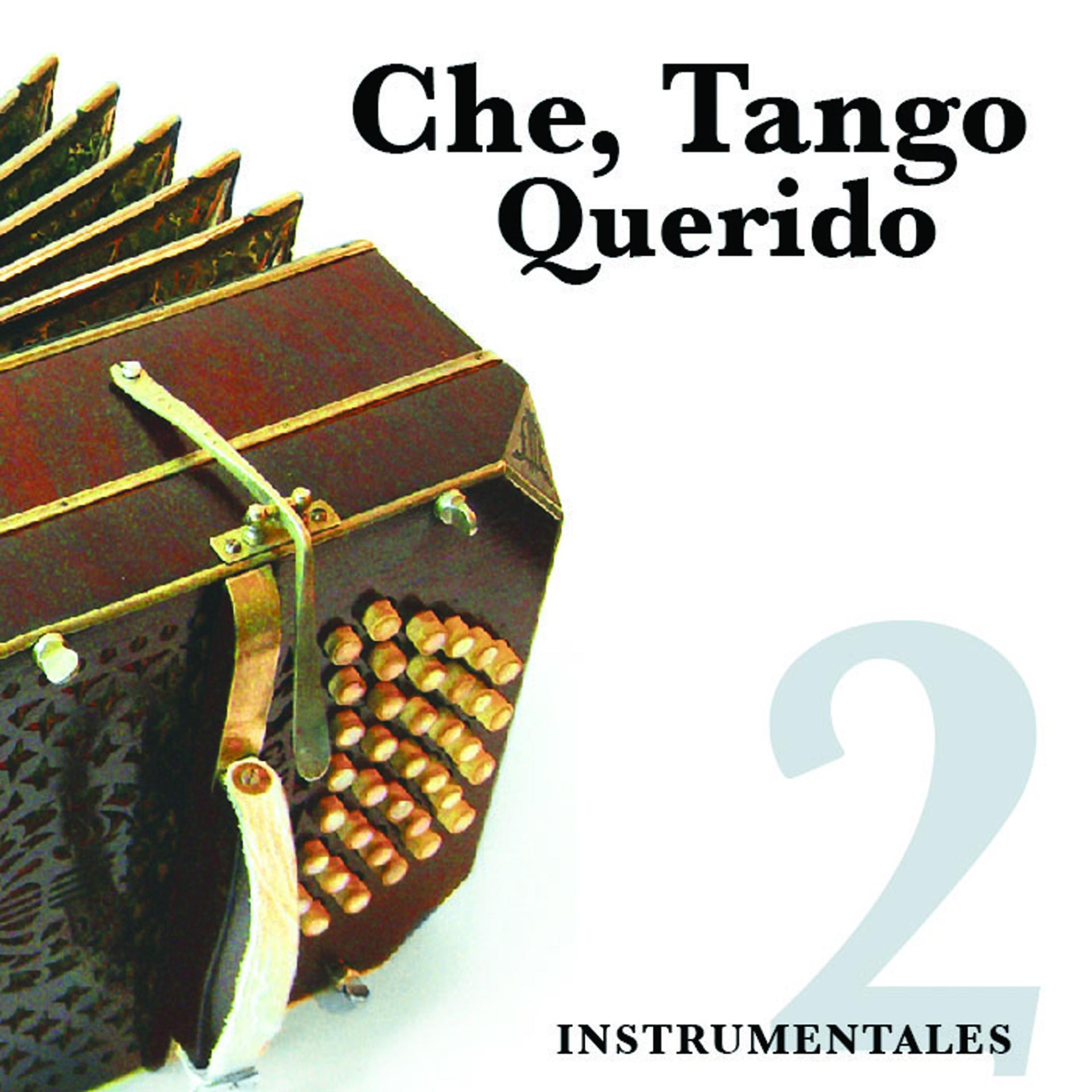 Постер альбома Che, Tango Querido - Instrumentales 2