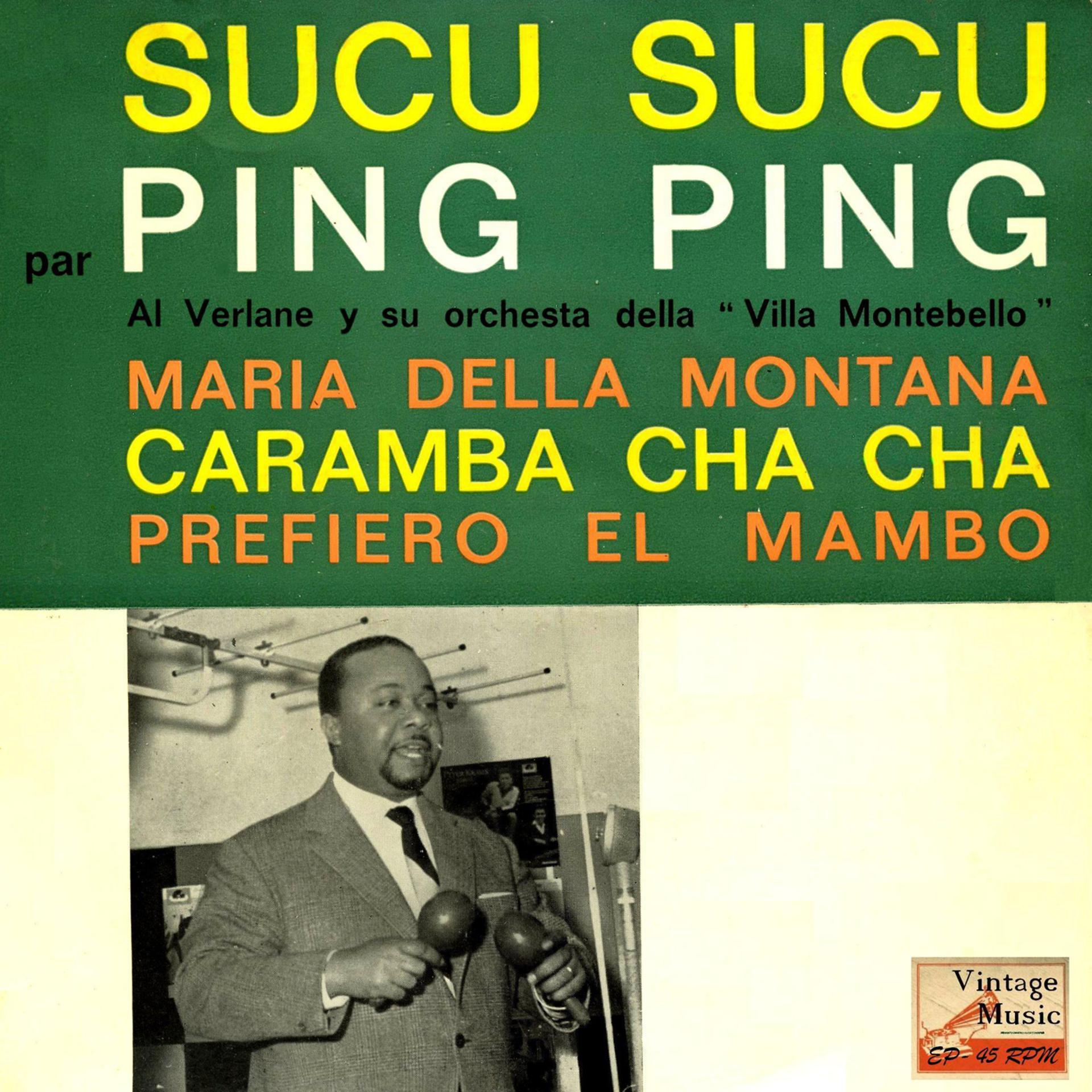 Постер альбома Vintage World No. 176 - EP: Sucu Sucu