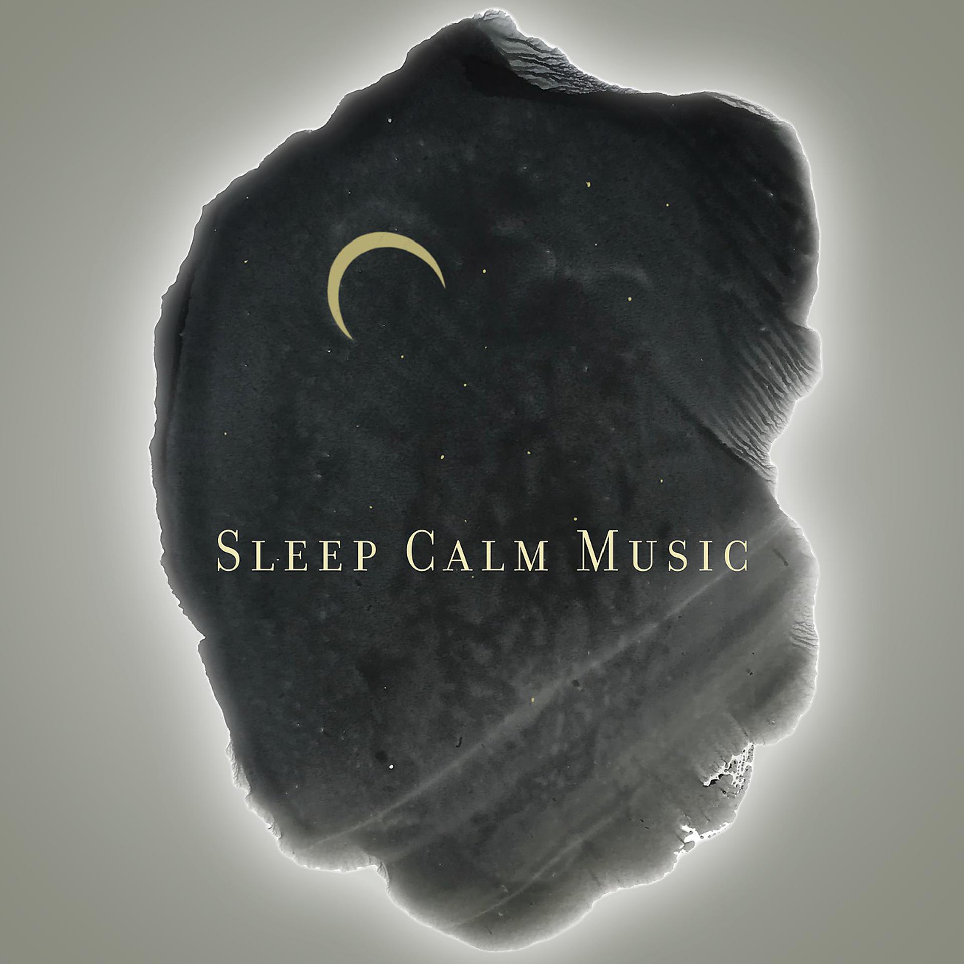 Постер альбома Sleep Calm Music