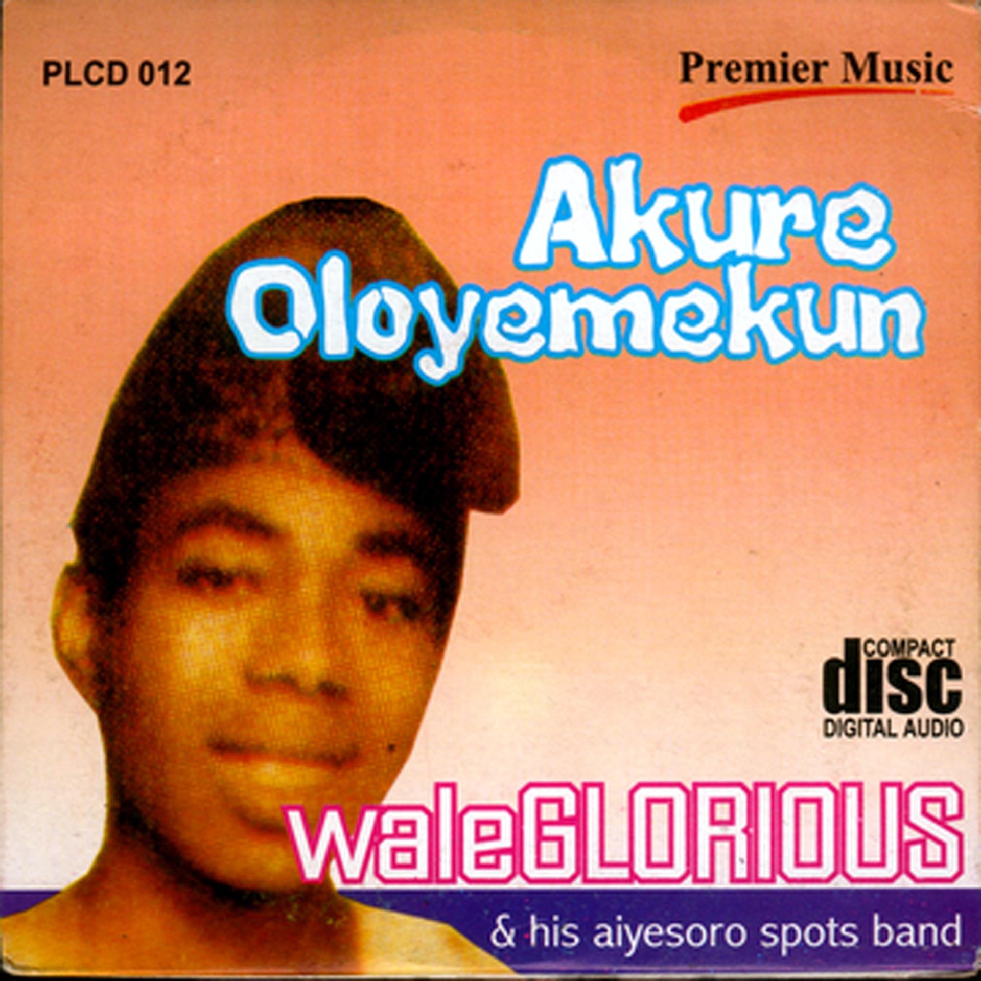 Постер альбома Akure Oloyemekun