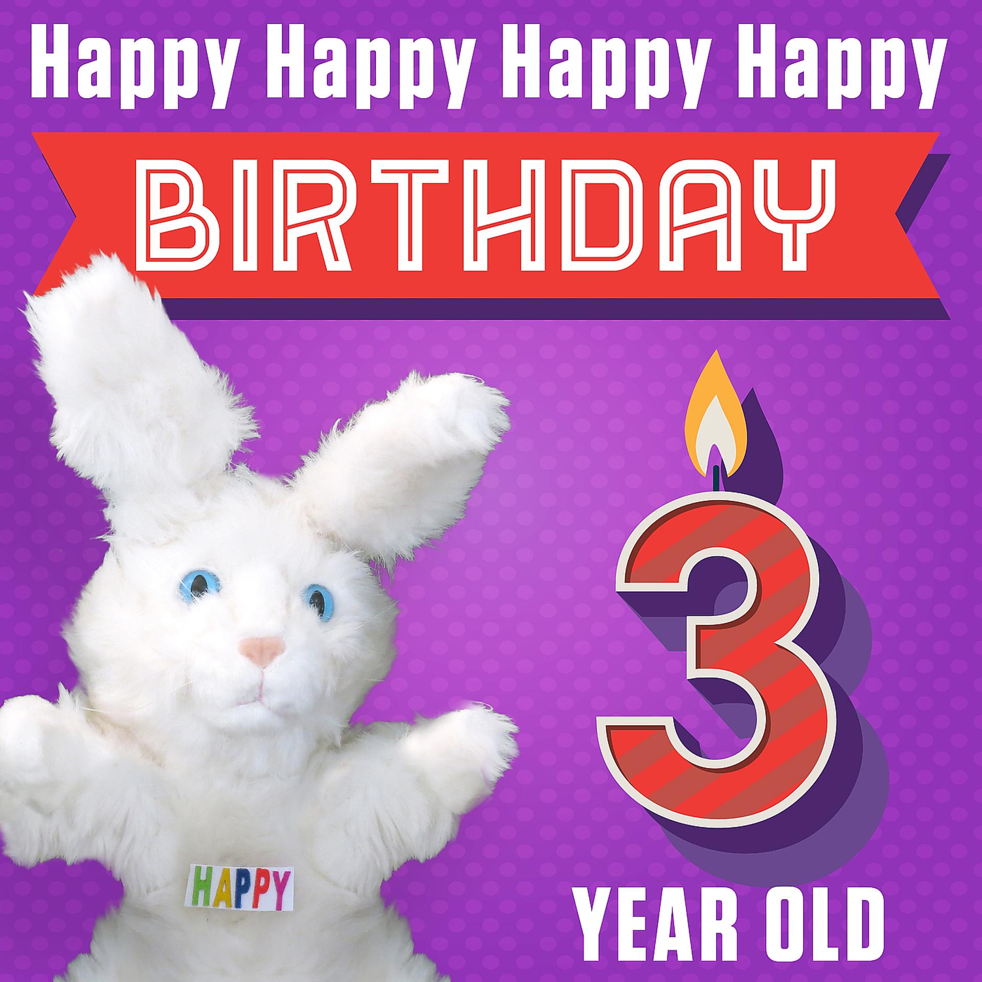 Постер альбома Happy Happy Happy Happy Birthday (Three Year Old)