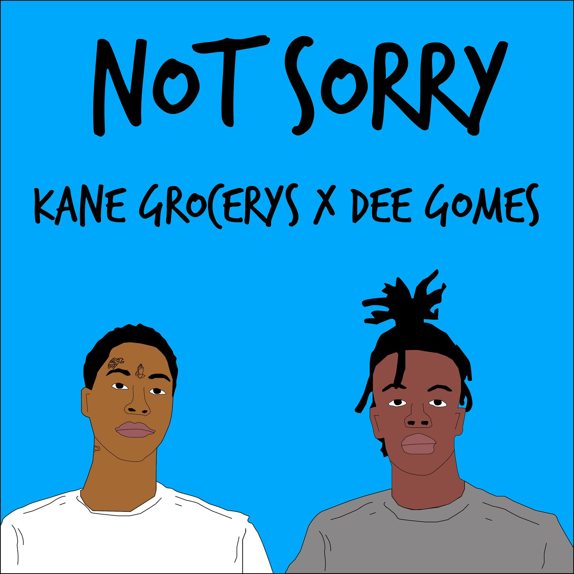 Постер альбома Not Sorry (feat. Dee Gomes)