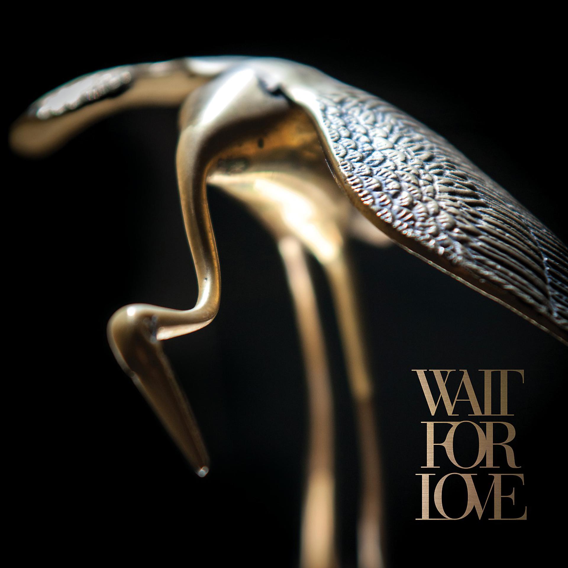 Постер альбома Wait For Love
