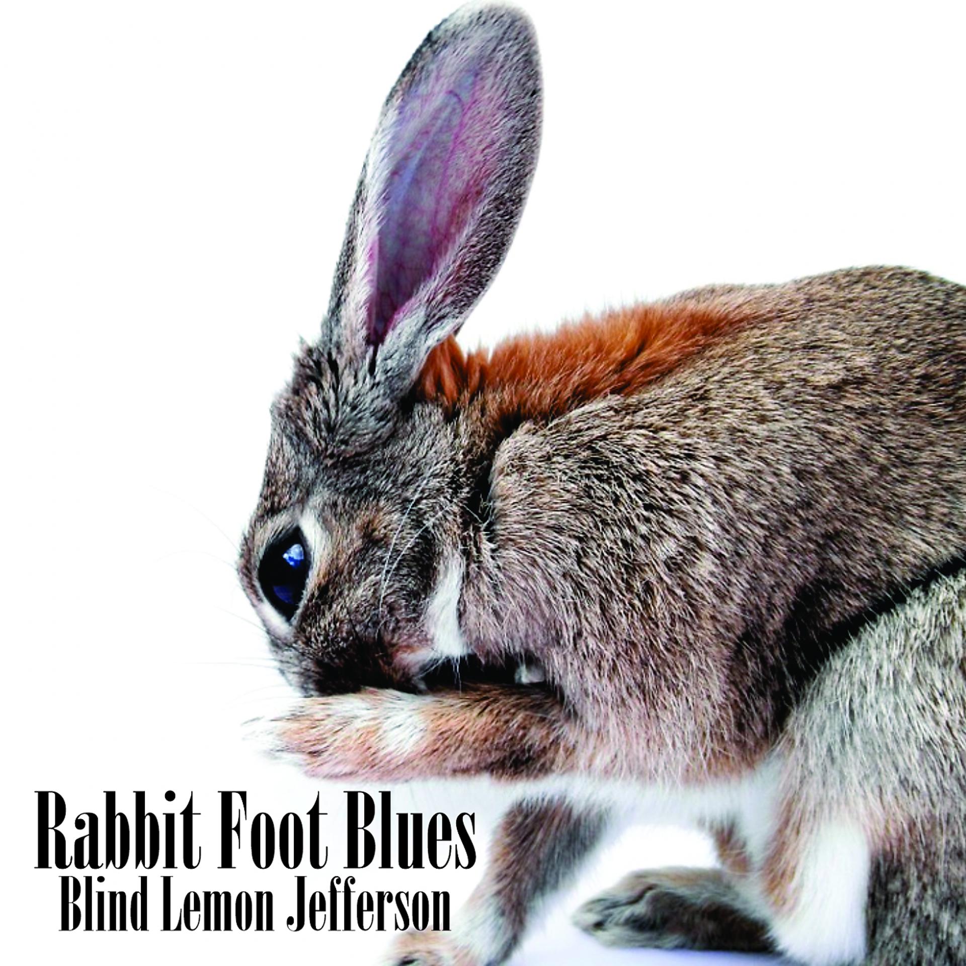 Постер альбома Rabbit Foot Blues