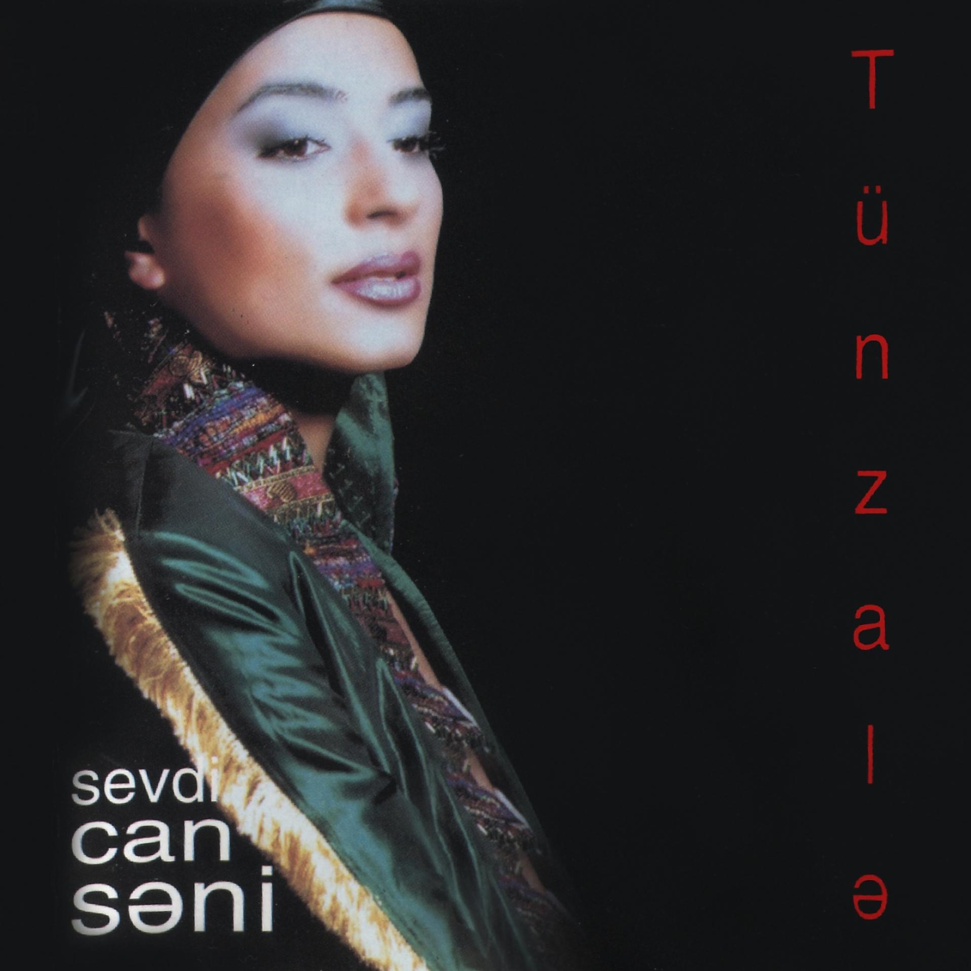 Постер альбома Sevdi Can Səni