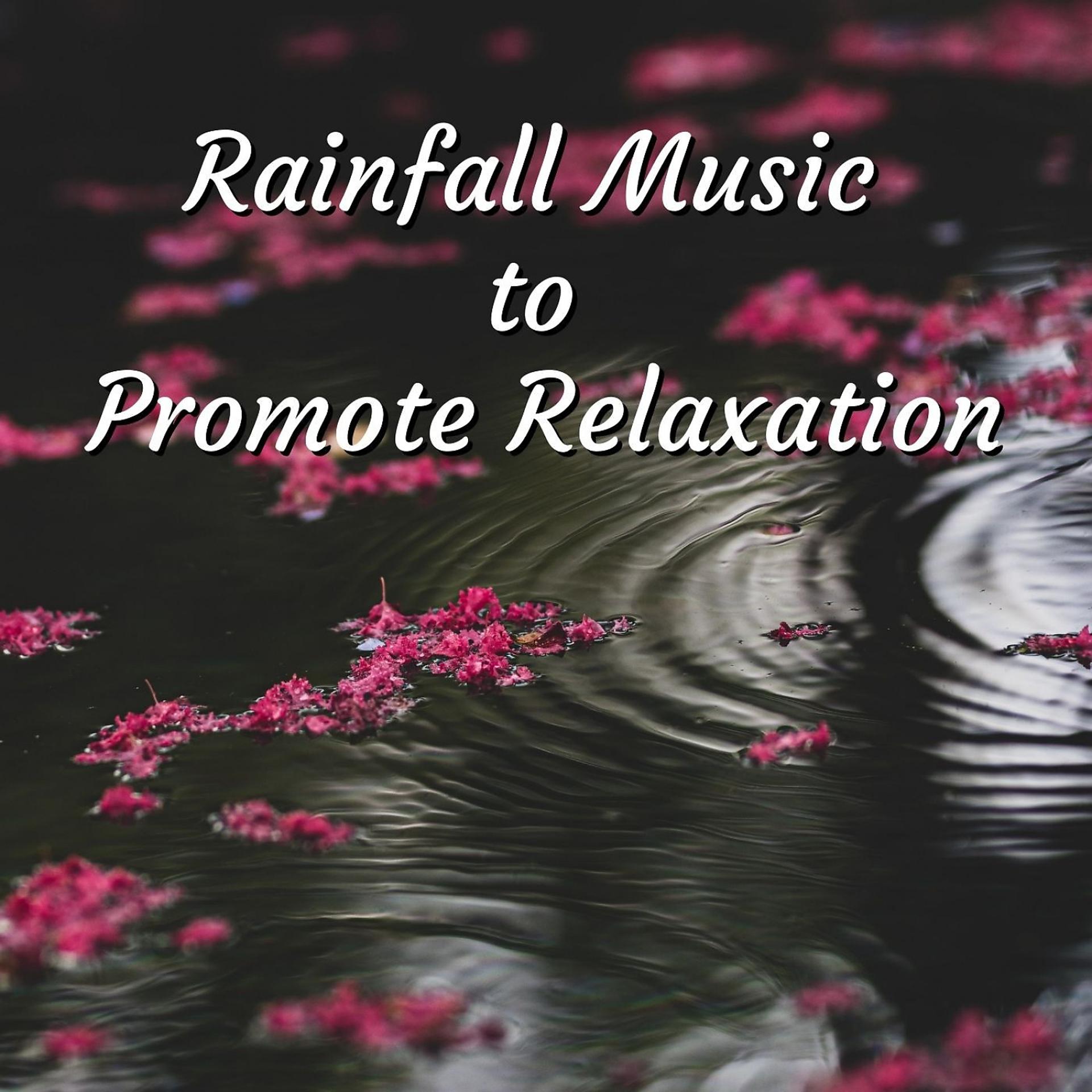 Постер альбома Rainfall  Music to Promote Relaxation - 1 Hour