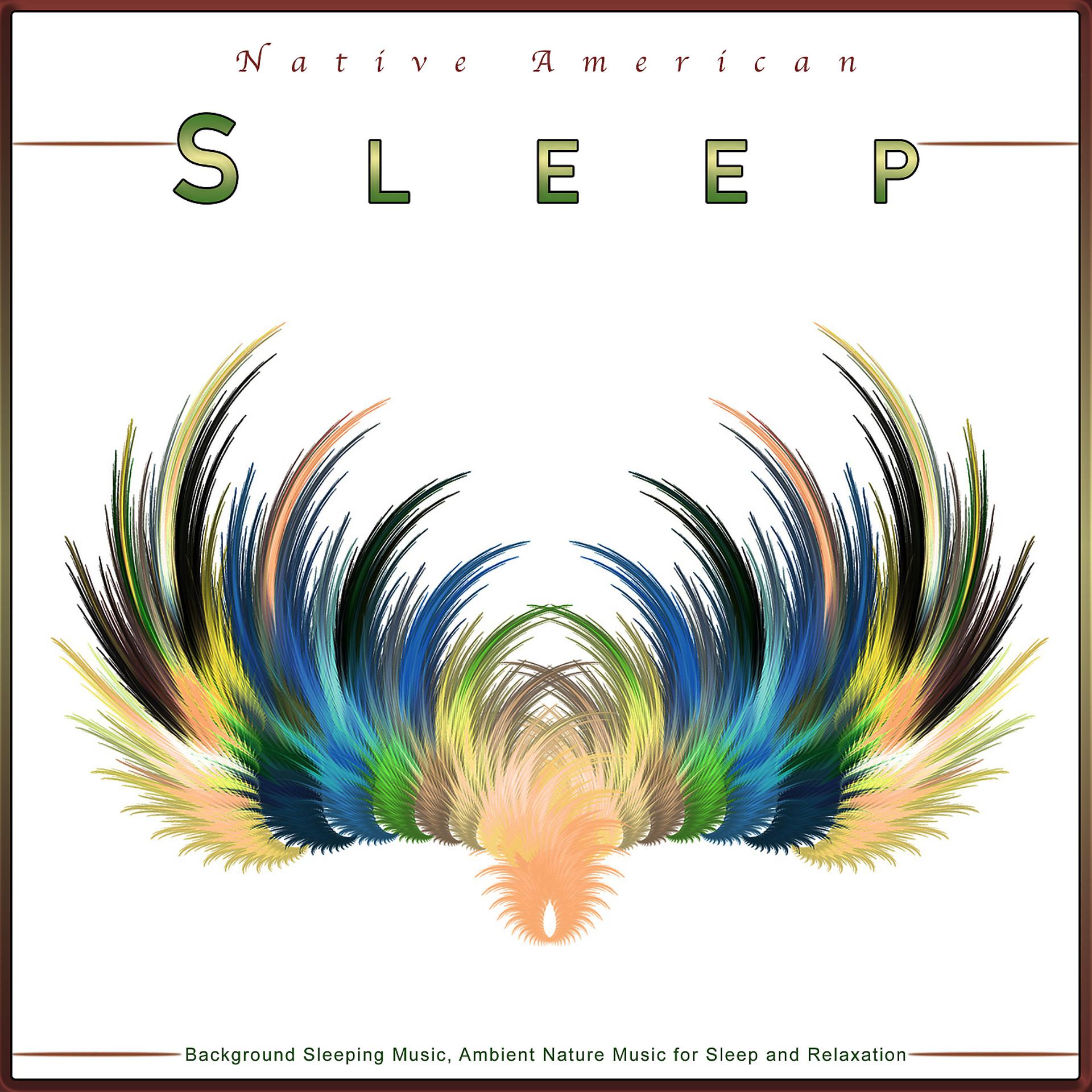 Постер альбома Native American Sleep: Background Sleeping Music, Ambient Nature Music for Sleep and Relaxation