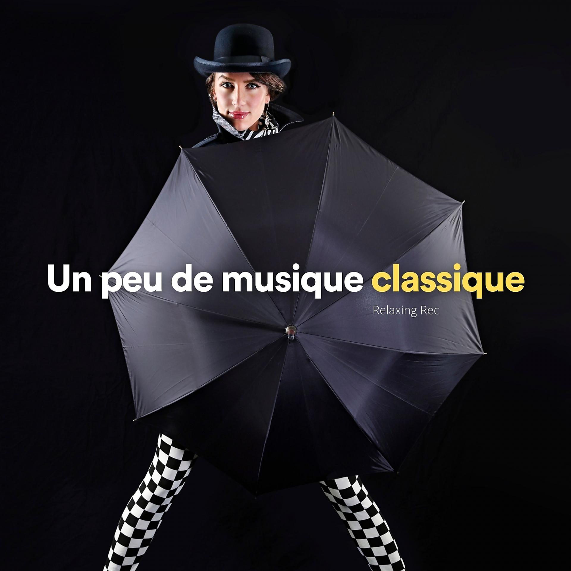 Постер альбома Un peu de musique classique