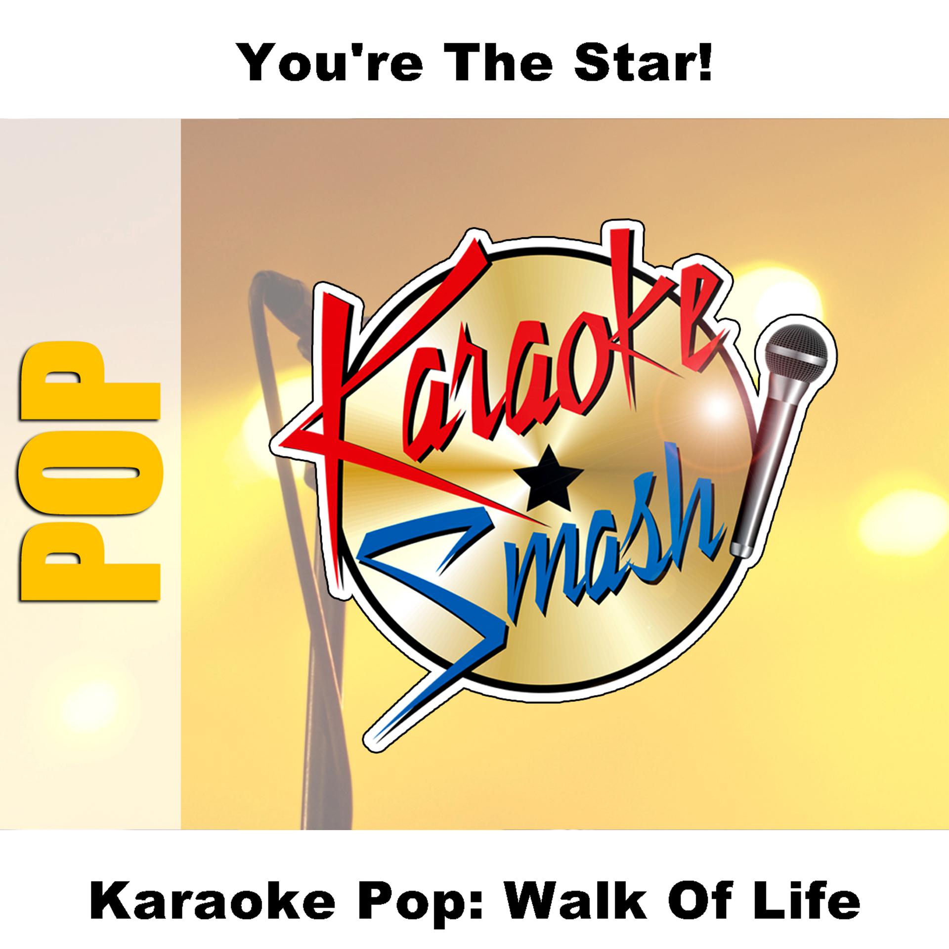 Постер альбома Karaoke Pop: Walk Of Life