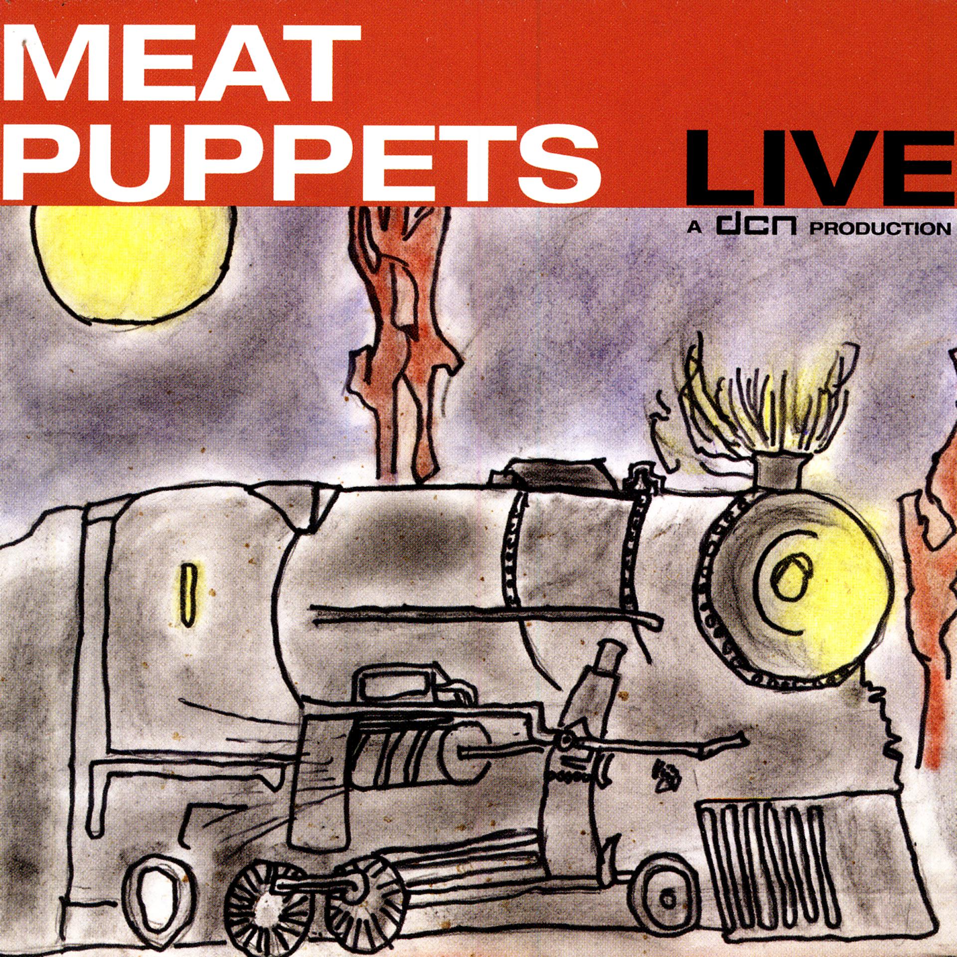 Постер альбома Meat Puppets Live