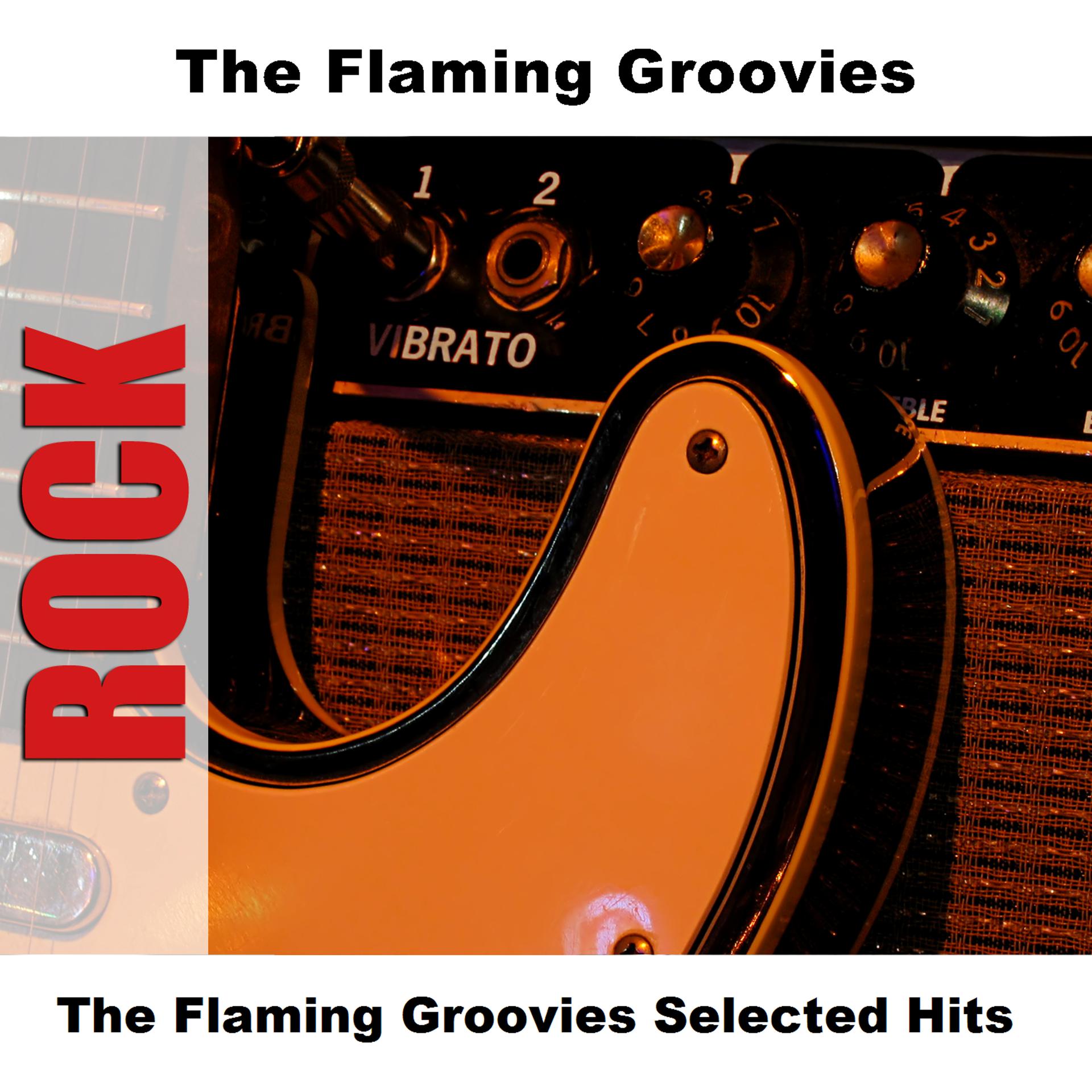 Постер альбома The Flaming Groovies Selected Hits