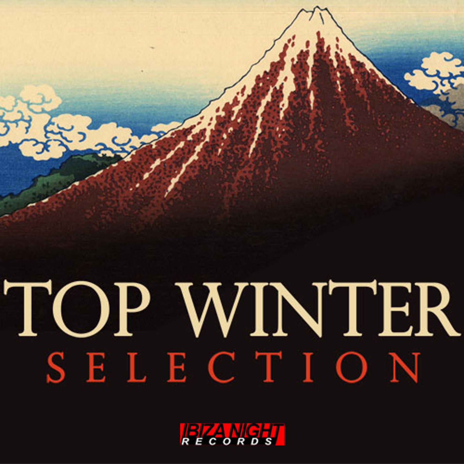 Постер альбома Top Winter Selection