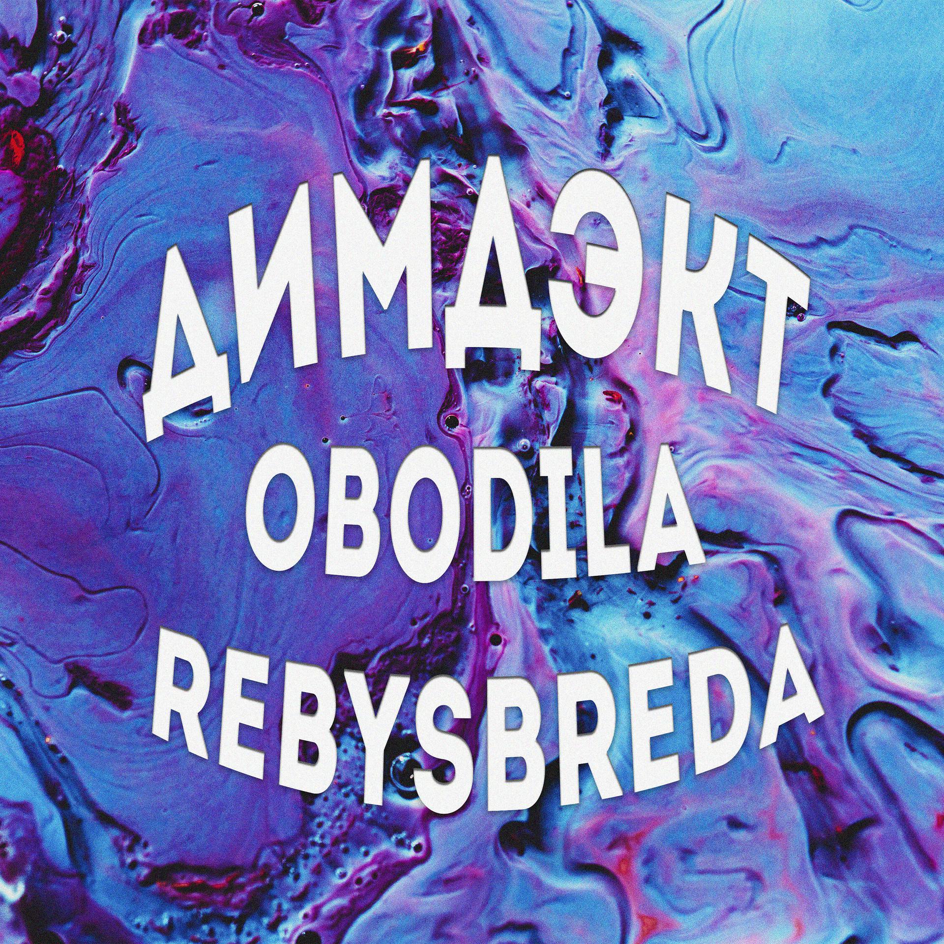 Постер альбома Obodila, Rebysbreda