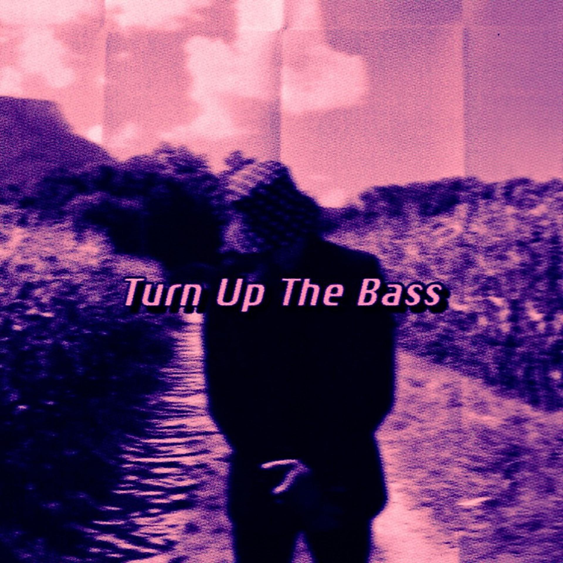 Постер альбома Turn up the Bass