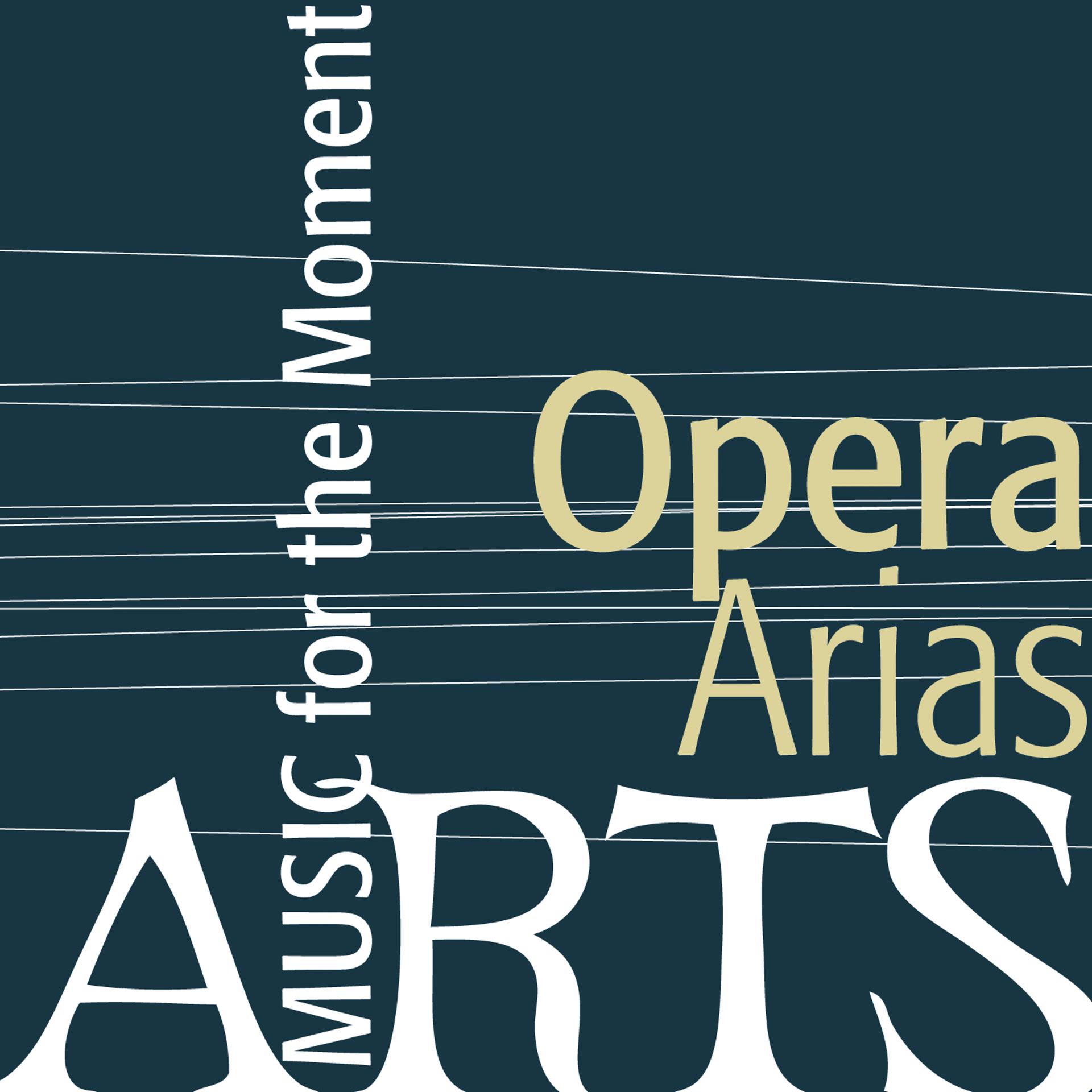 Постер альбома Music For The Moment: Opera Arias