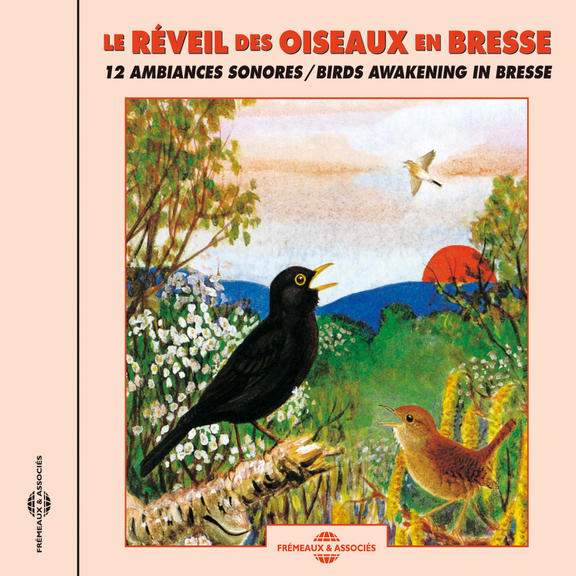 Постер альбома Birds Awakening In Bresse