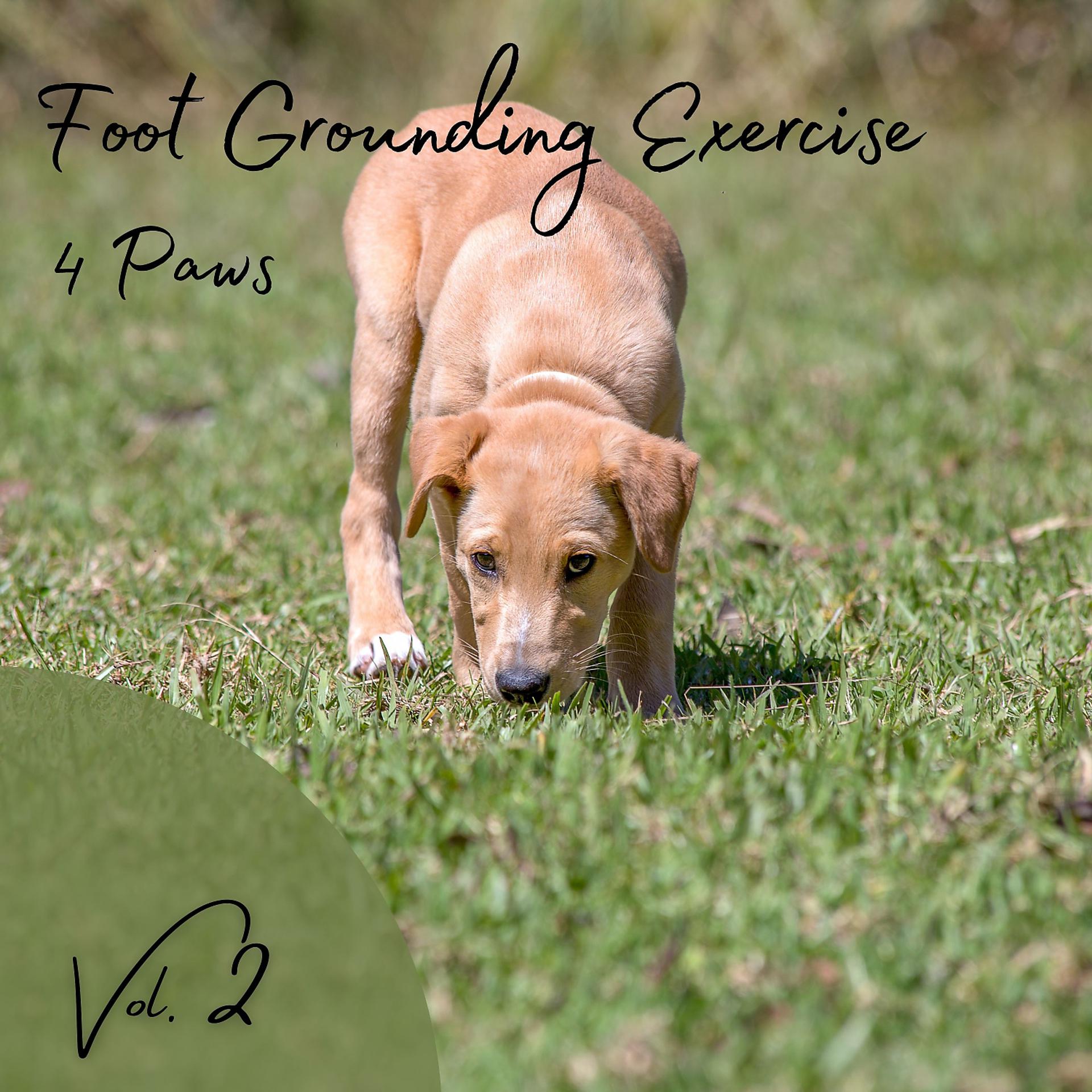 Постер альбома 4 Paws: Foot Grounding Exercise Vol. 2