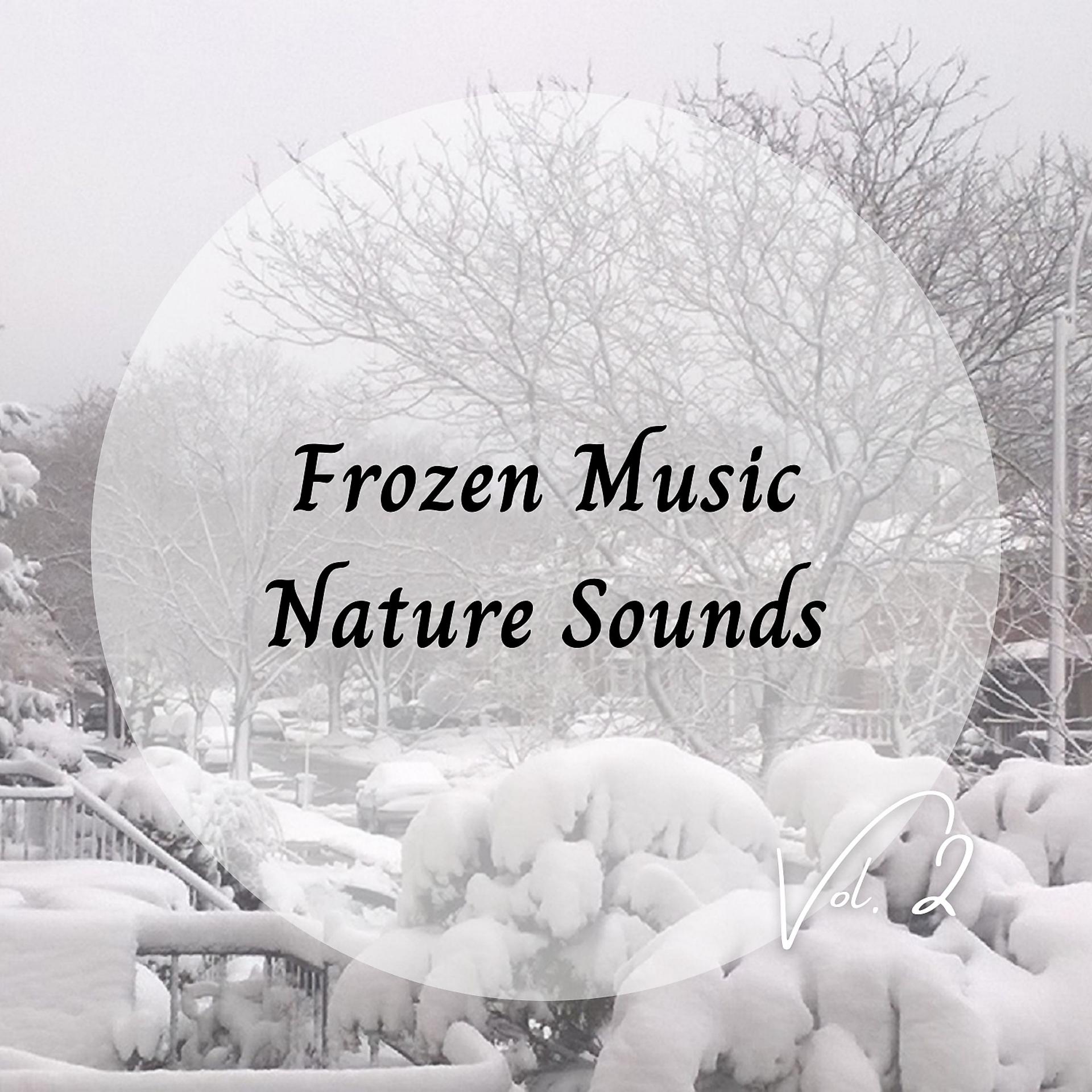 Постер альбома Frozen Music Nature Sounds Vol. 2