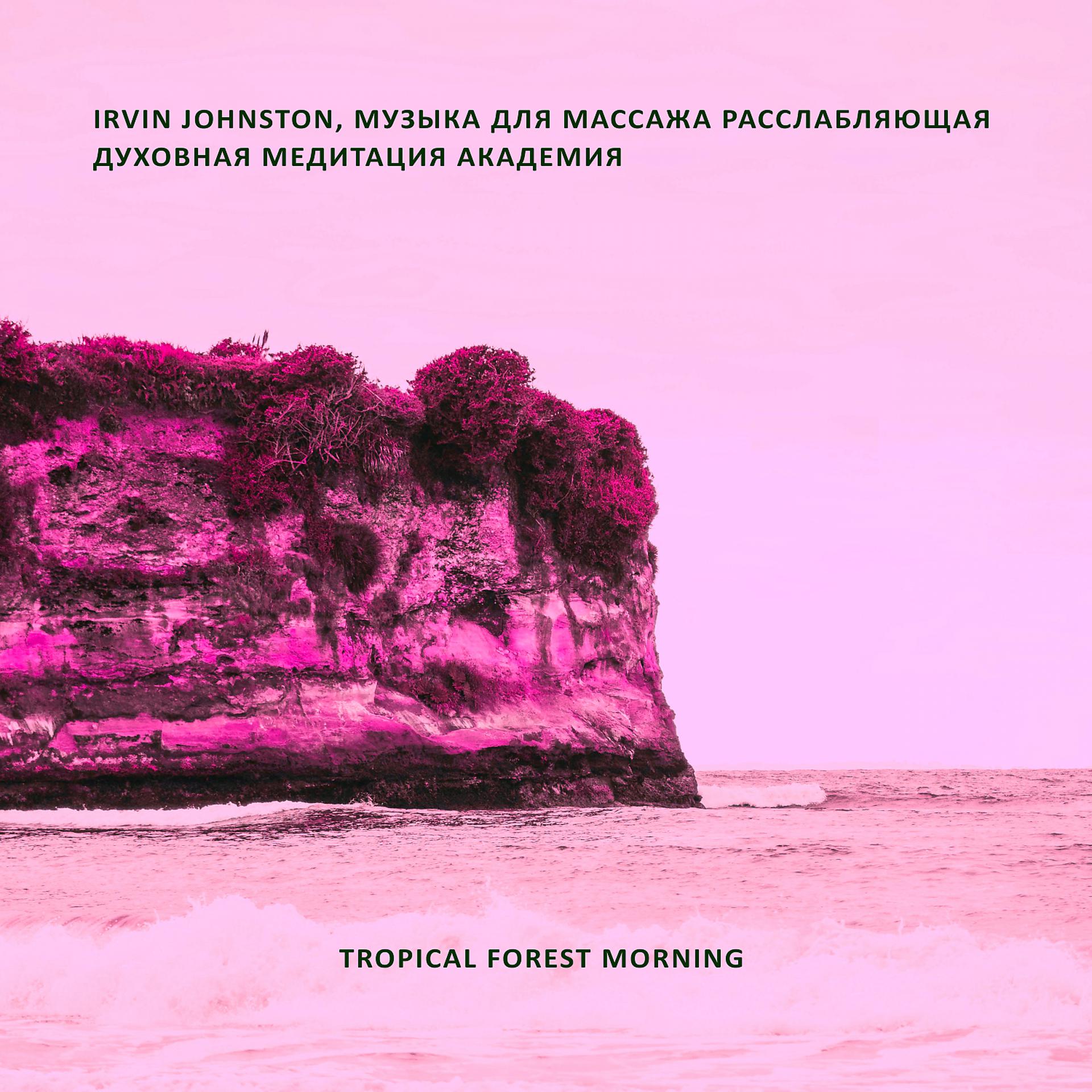 Постер альбома Tropical forest morning