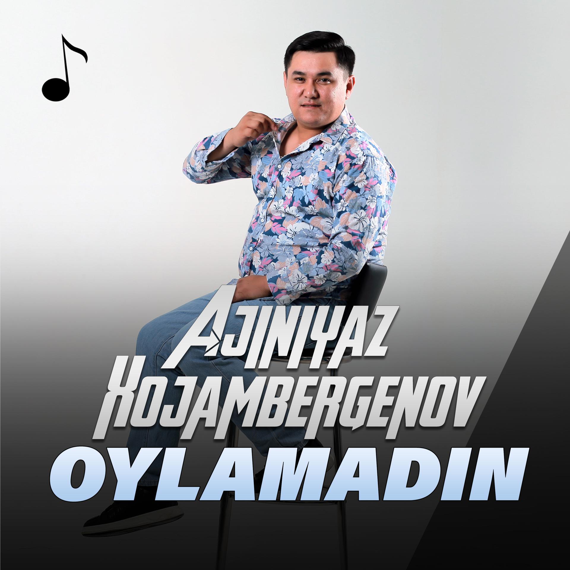 Постер альбома Oylamadin