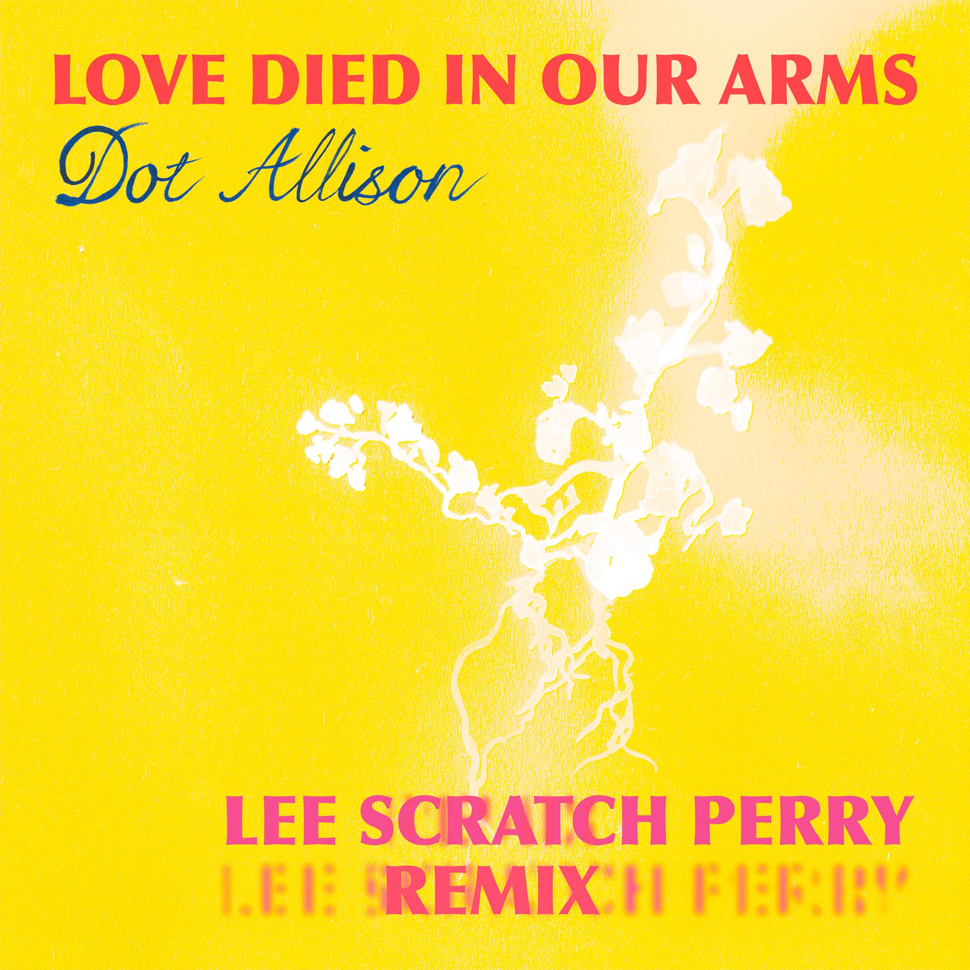 Постер альбома Love Died in Our Arms (Lee Scratch Perry Remix)