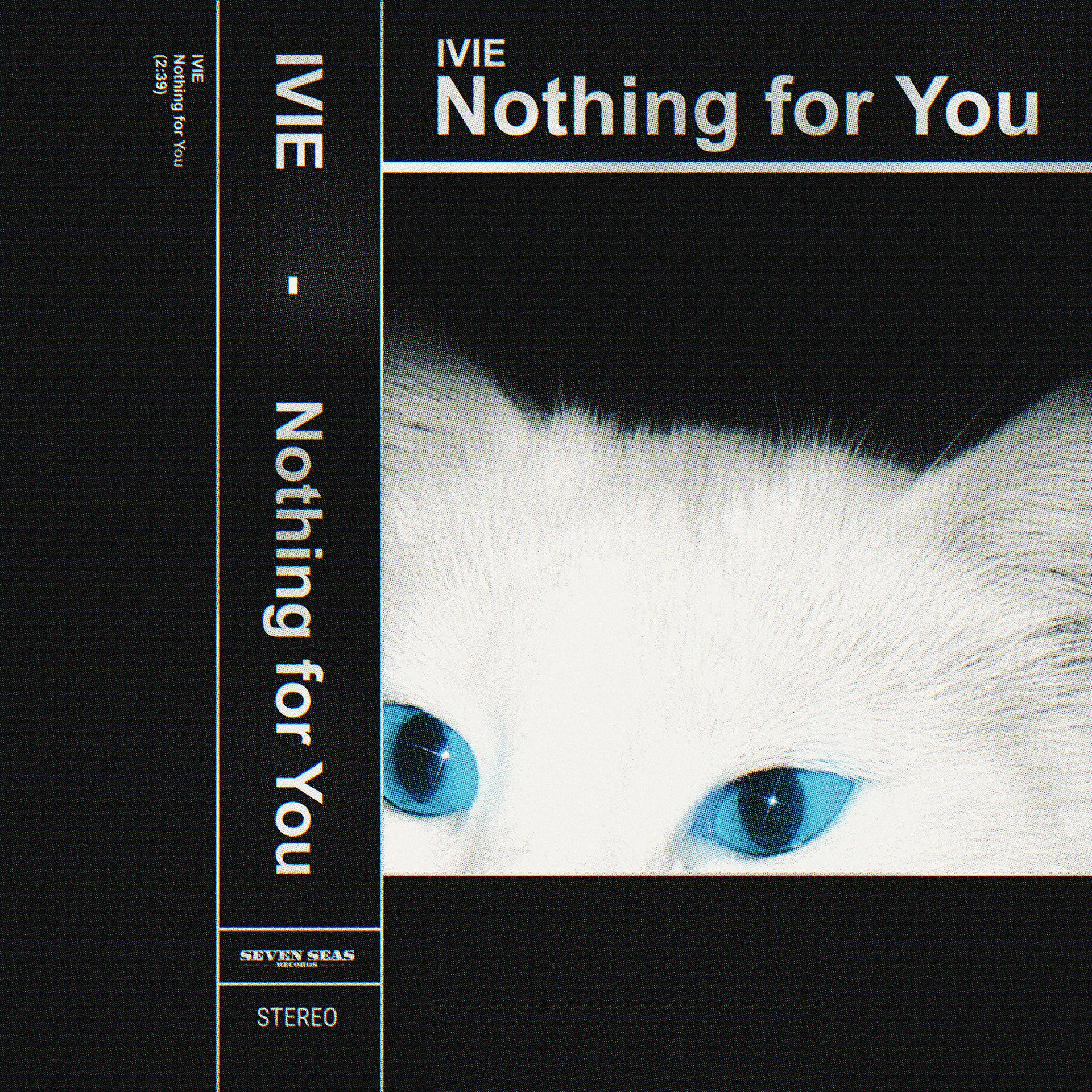 Постер альбома Nothing for You