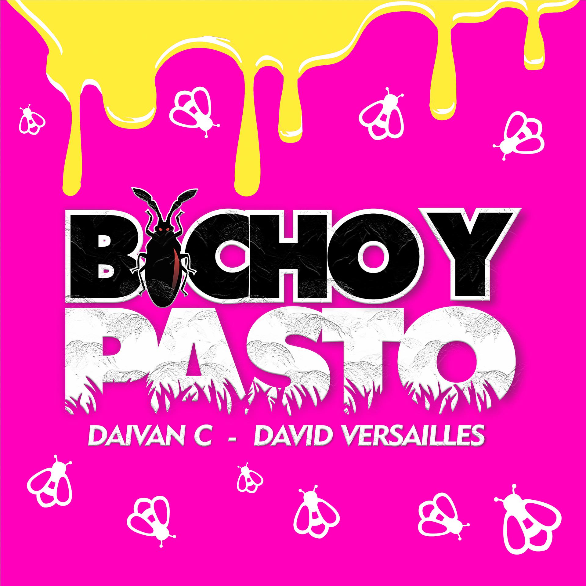 Постер альбома Bicho y Pasto