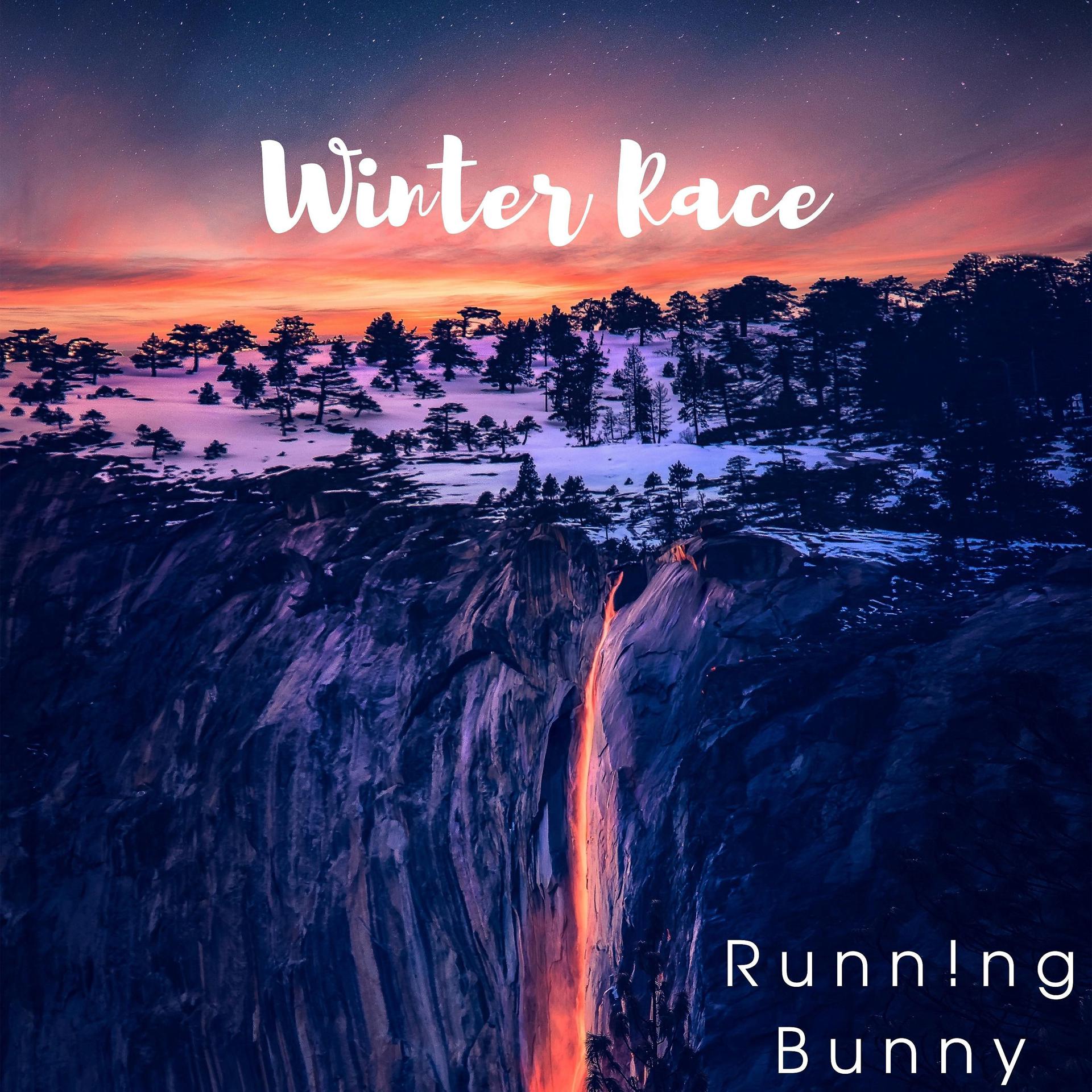 Постер альбома Winter Race