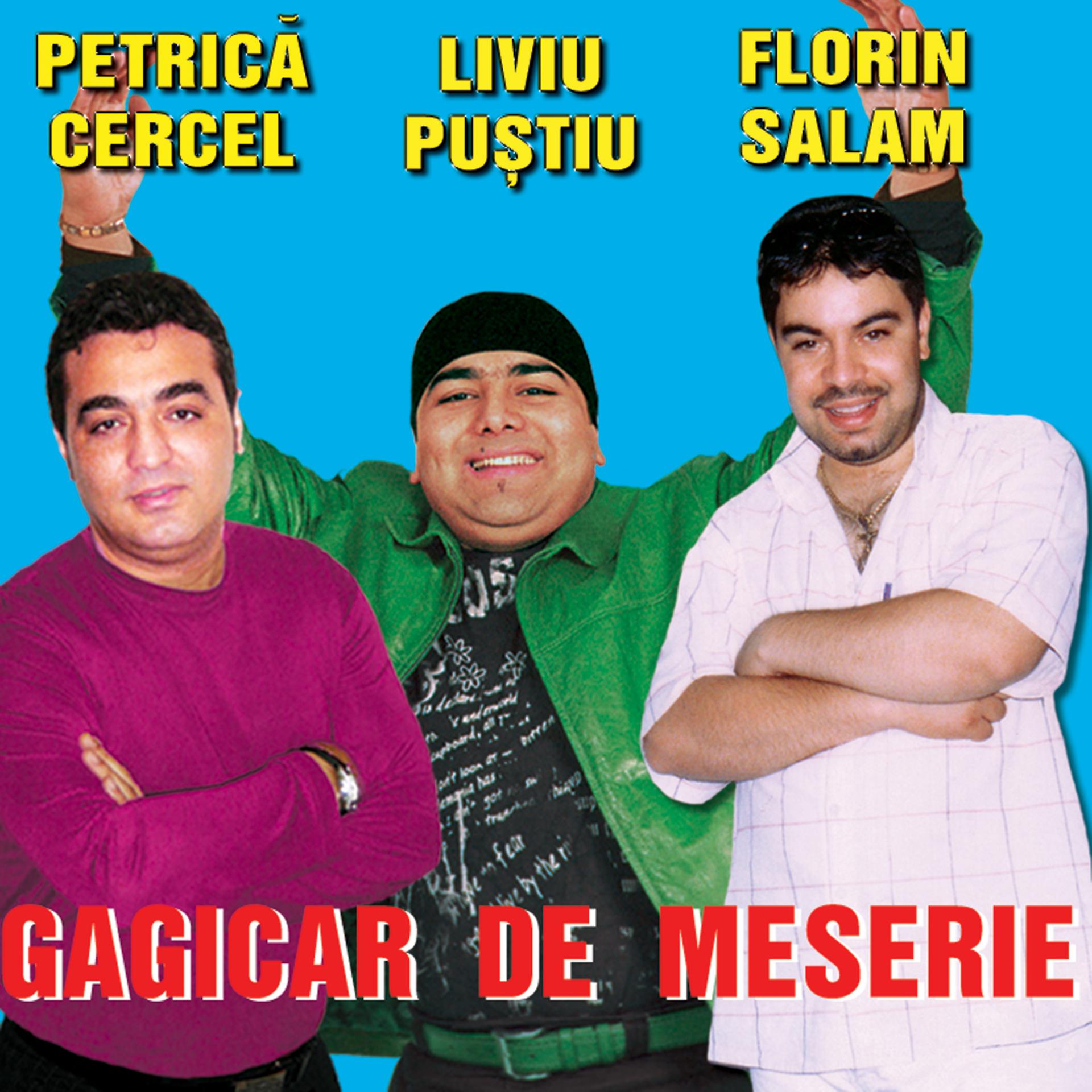 Постер альбома Gagicar De Meserie / I'm A Playboy