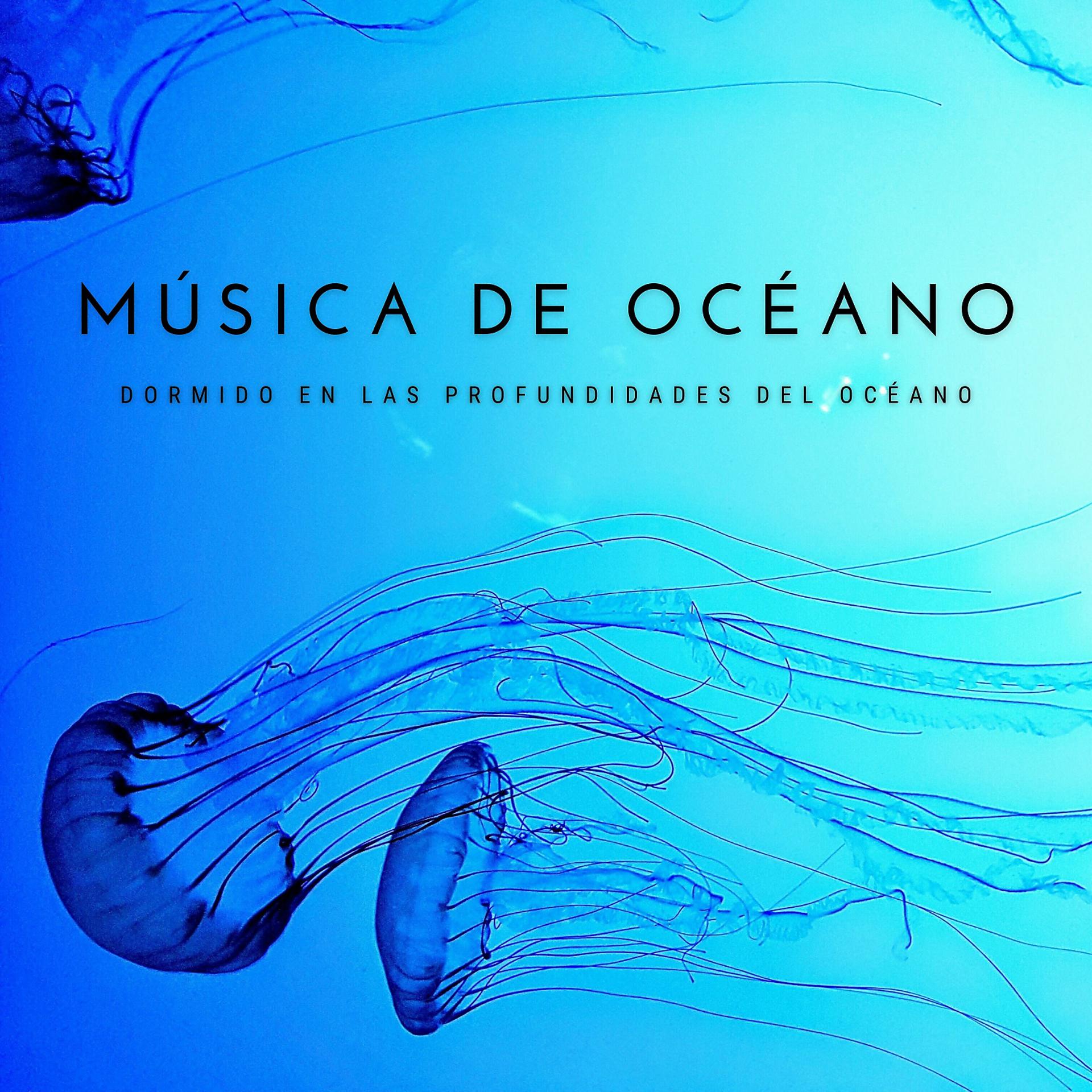 Постер альбома Música De Océano: Dormido En Las Profundidades Del Océano