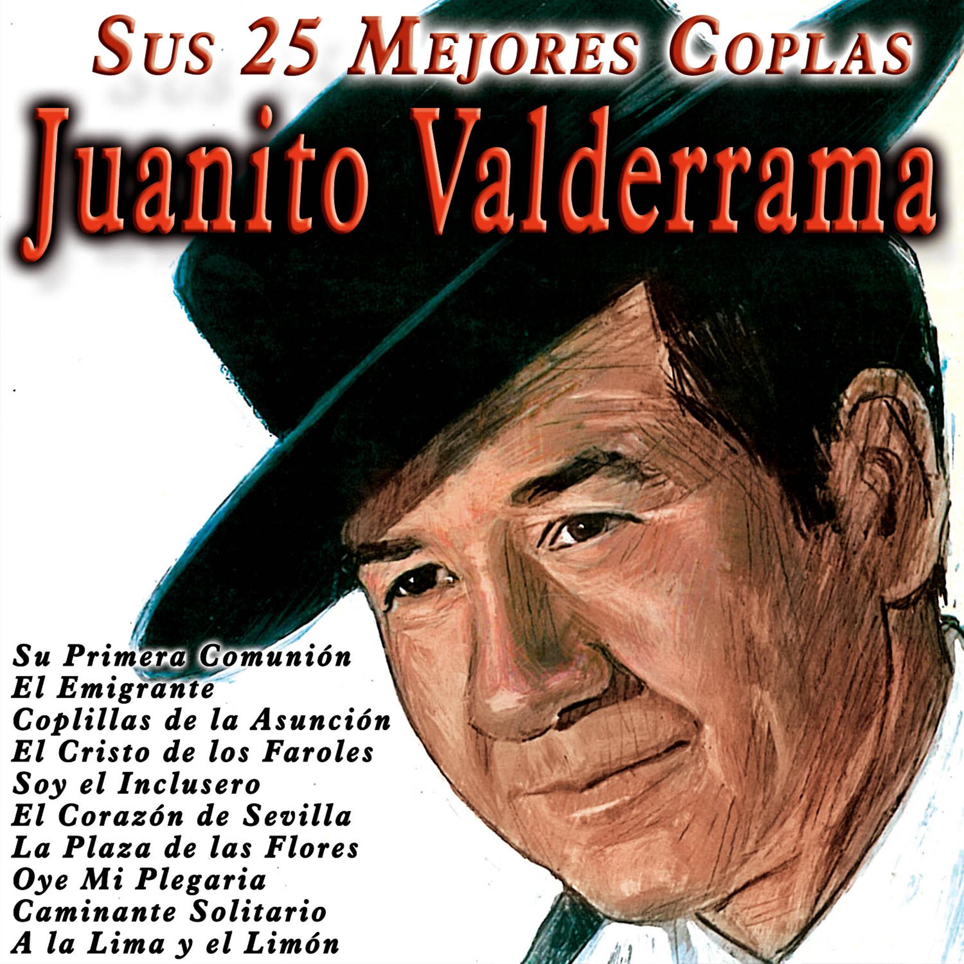 Постер альбома Sus 25 Mejores Coplas