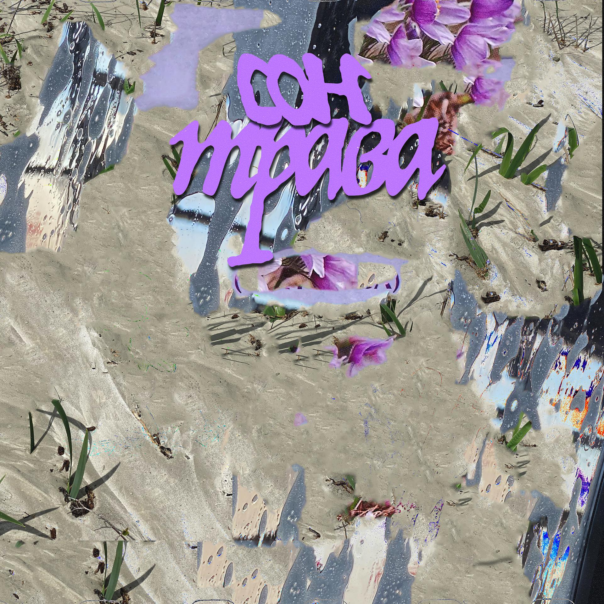 Постер альбома Сон-трава