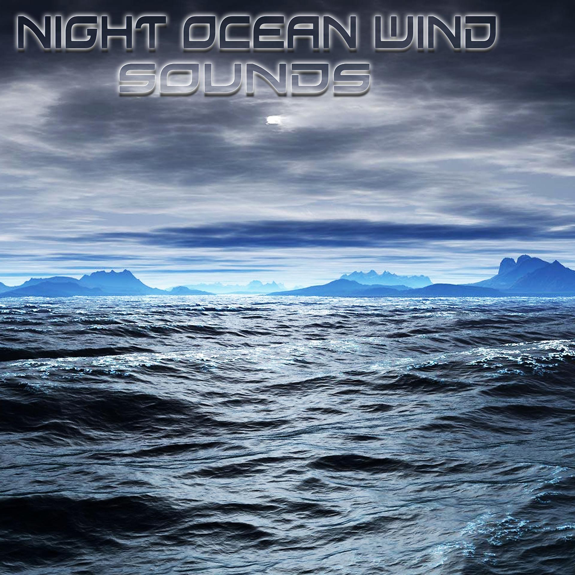 Постер альбома Night Ocean Wind Sounds (feat. Ocean Sounds FX)