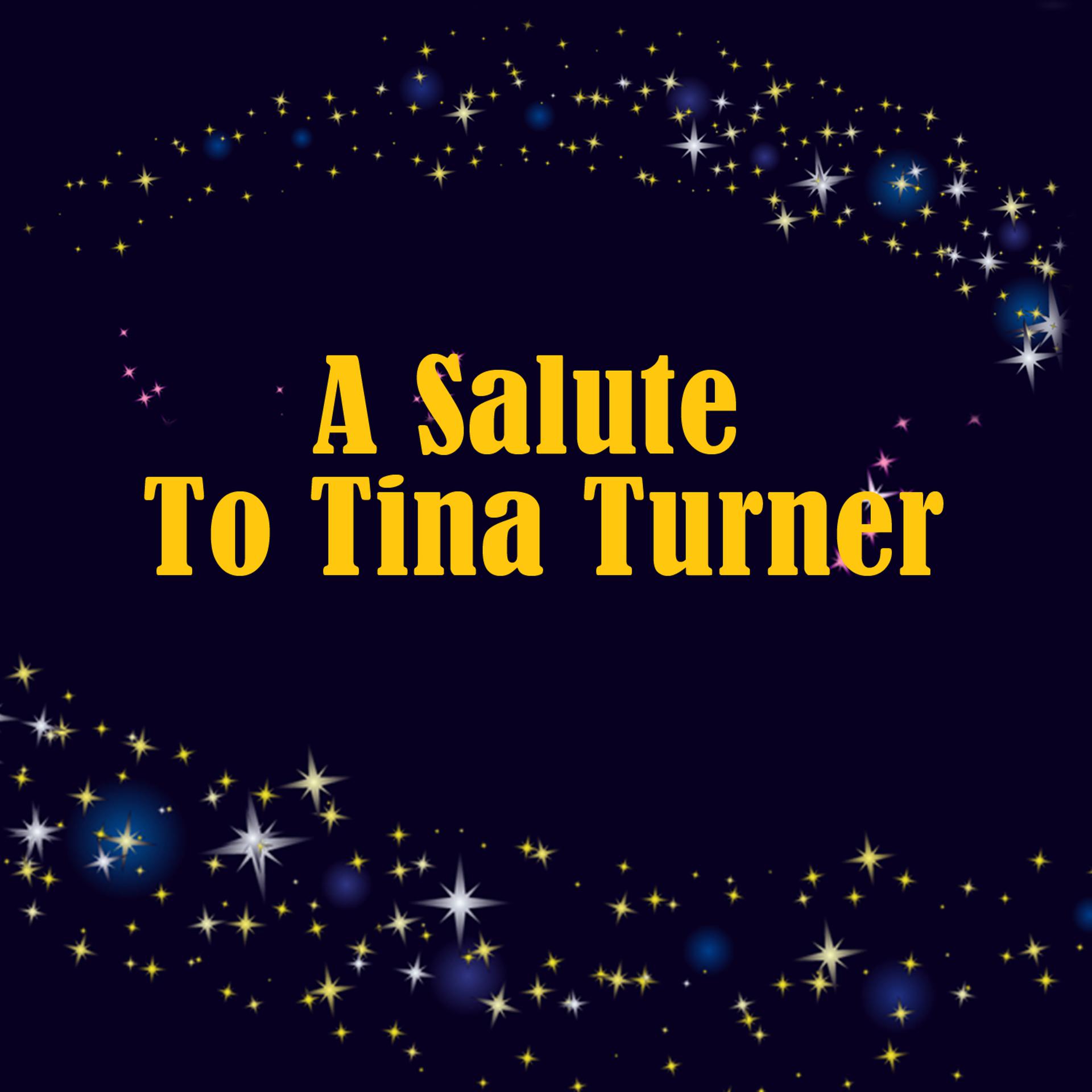 Постер альбома A Salute To Tina Turner