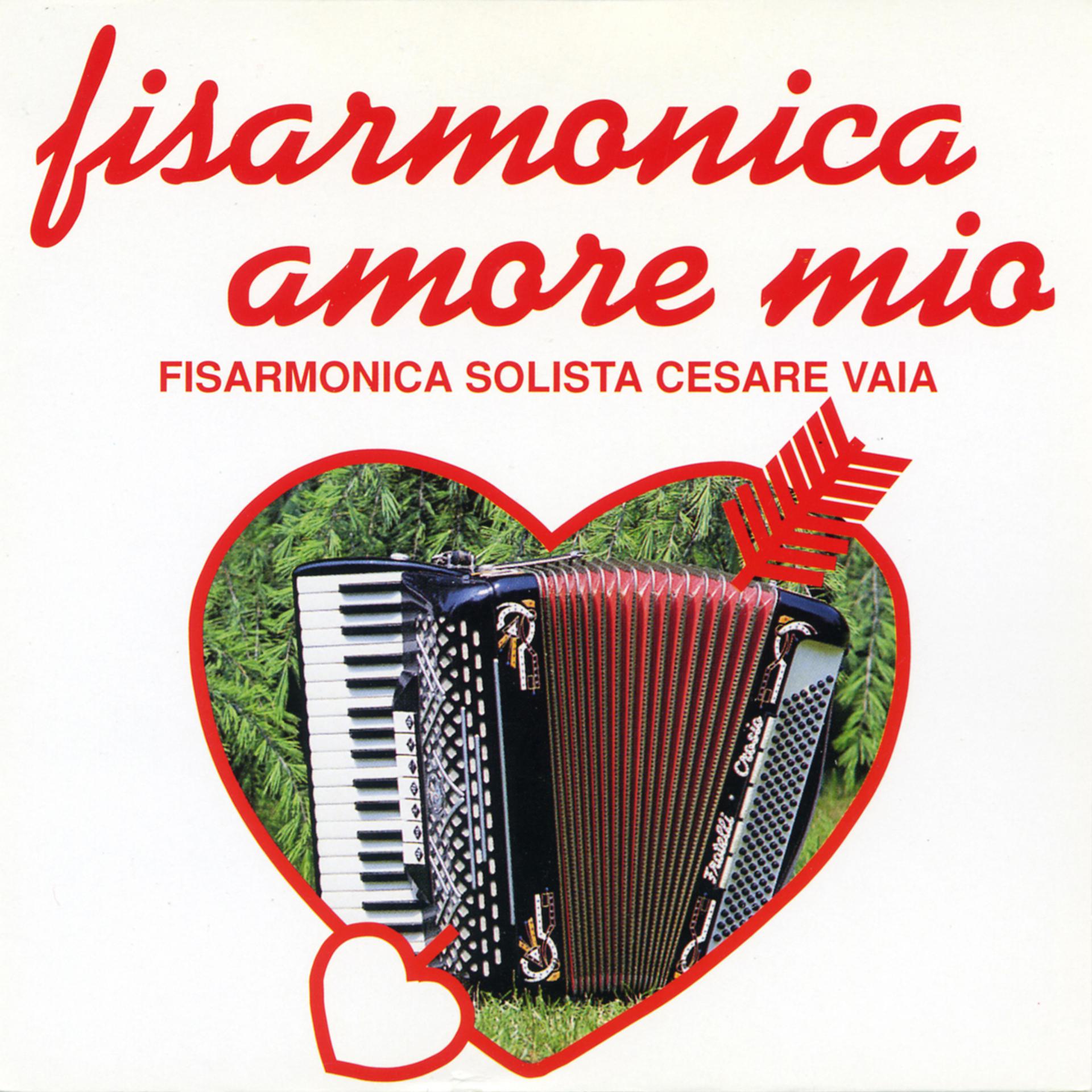 Постер альбома Fisarmonica Amore Mio