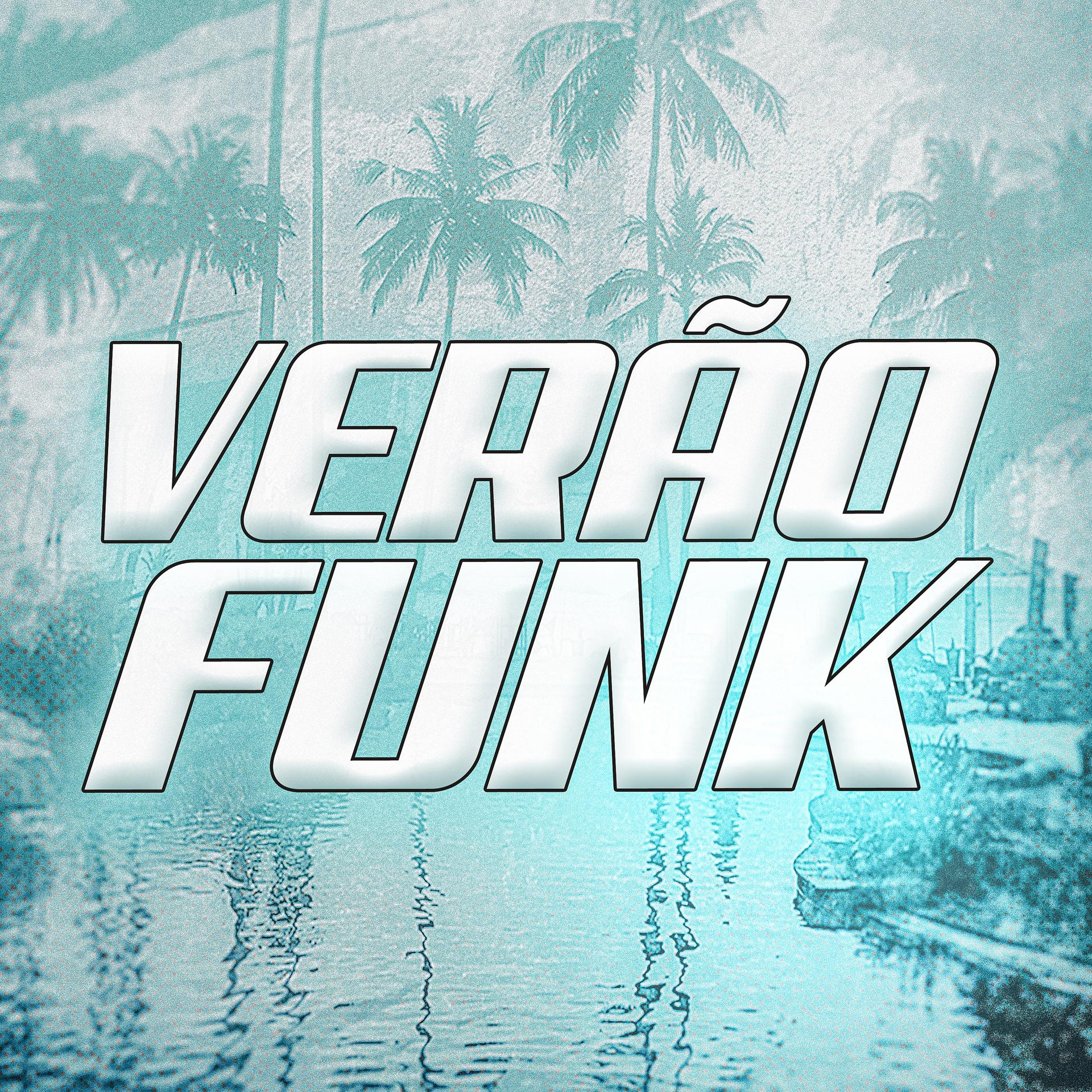 Постер альбома Verão Funk